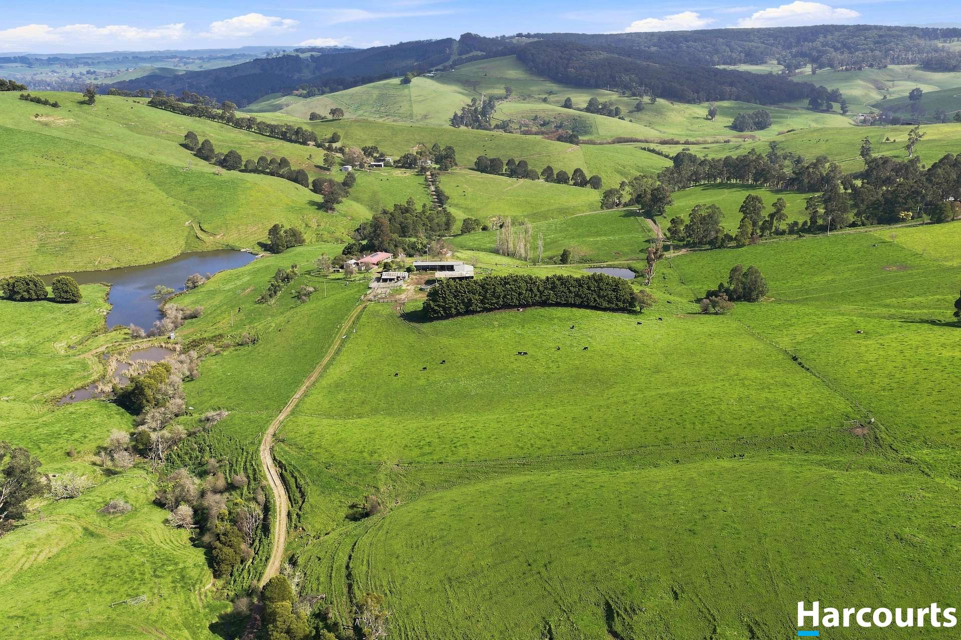 Lot 1, 60 Lanes Road, Mirboo North For Sale by Farmbuy.com - image 32