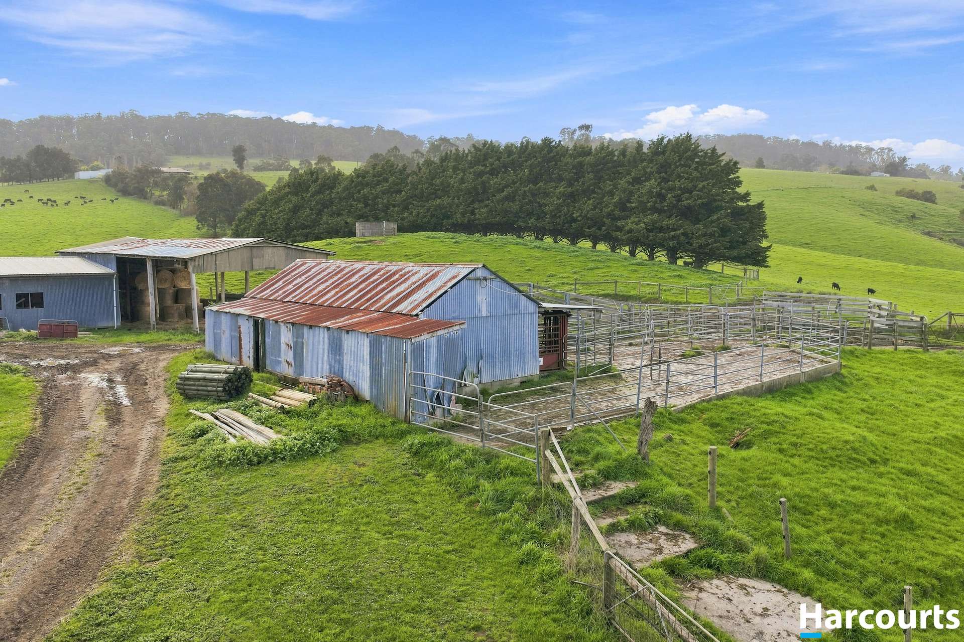 Lot 1, 60 Lanes Road, Mirboo North For Sale by Farmbuy.com - image 22