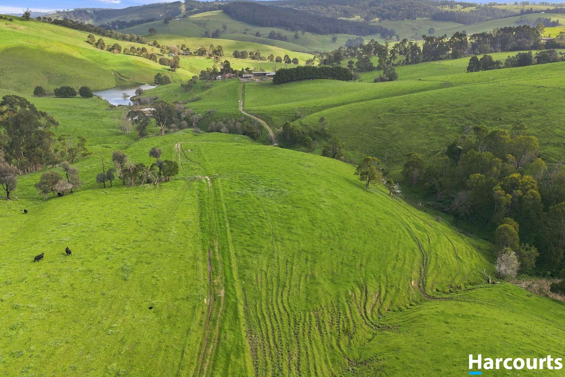 Lot 2-6, 60 Lanes Road, Mirboo North For Sale by Farmbuy.com - image 10