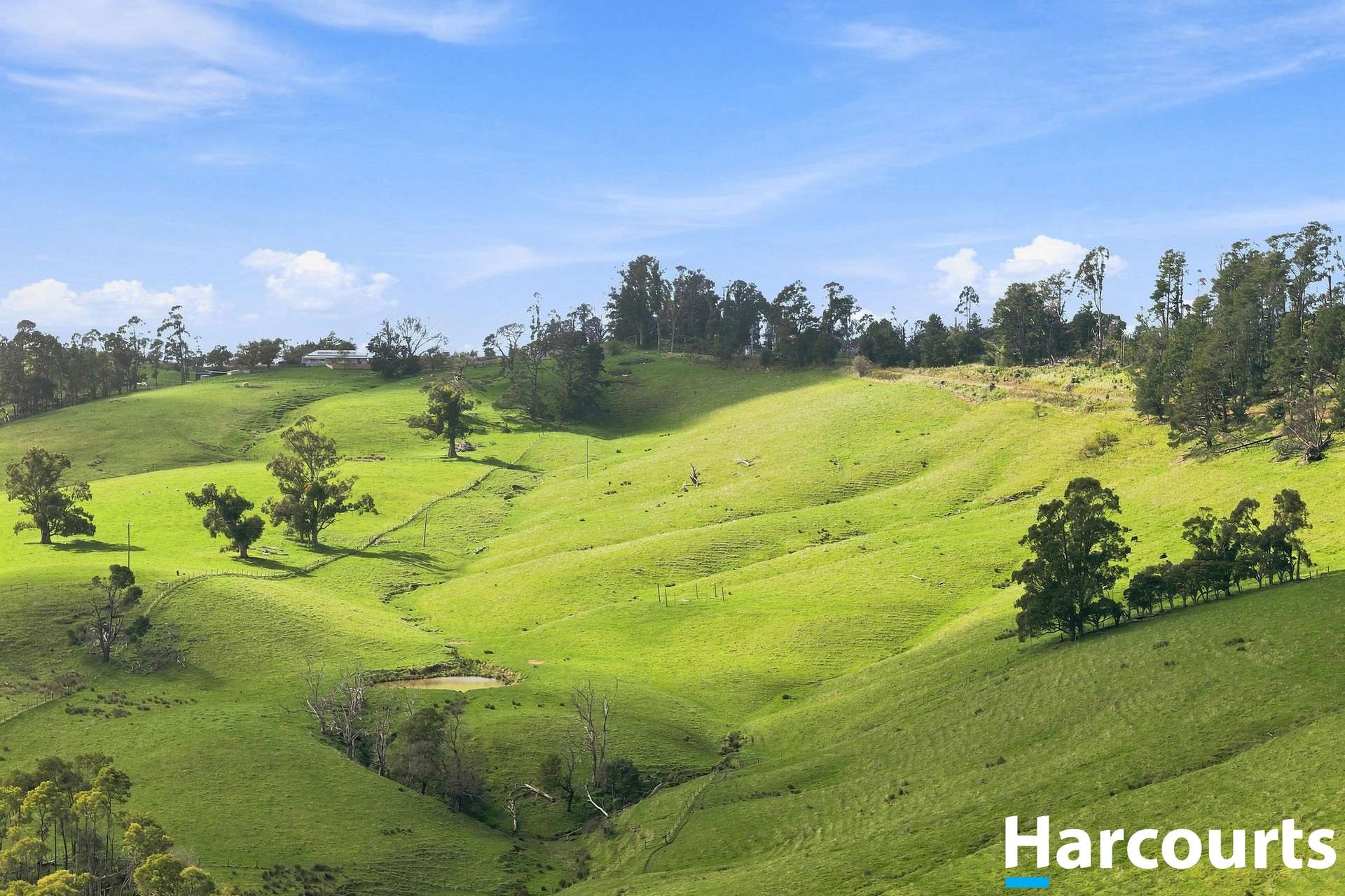 Lot 2-6, 60 Lanes Road, Mirboo North For Sale by Farmbuy.com - image 6