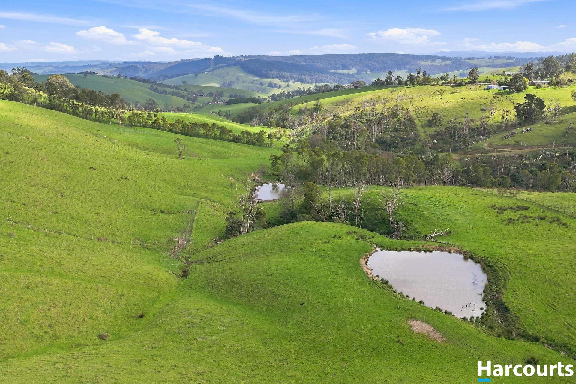 Lot 2-6, 60 Lanes Road, Mirboo North For Sale by Farmbuy.com - image 8