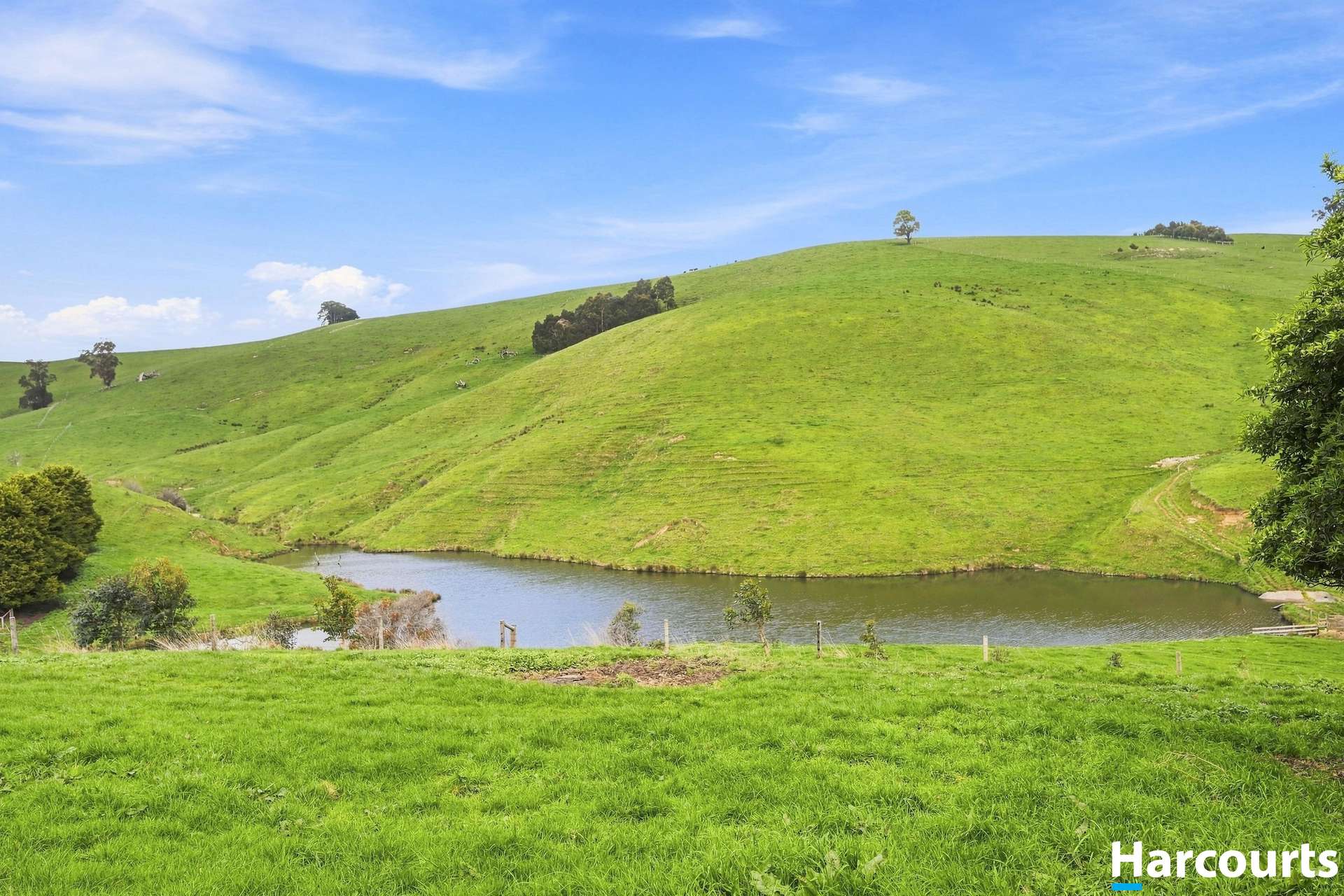 Lot 2-6, 60 Lanes Road, Mirboo North For Sale by Farmbuy.com - image 12