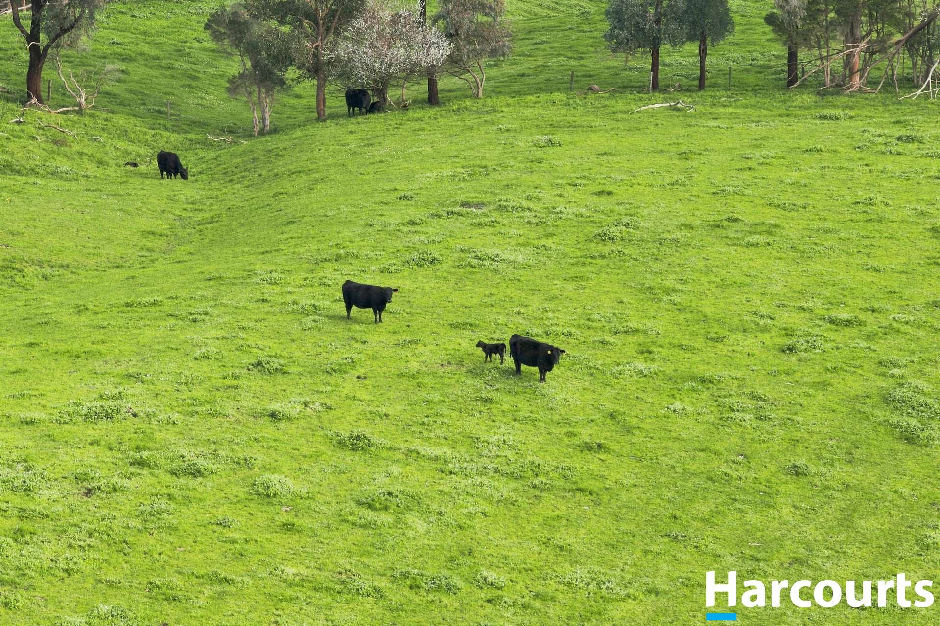 Lot 2-6, 60 Lanes Road, Mirboo North For Sale by Farmbuy.com - image 9
