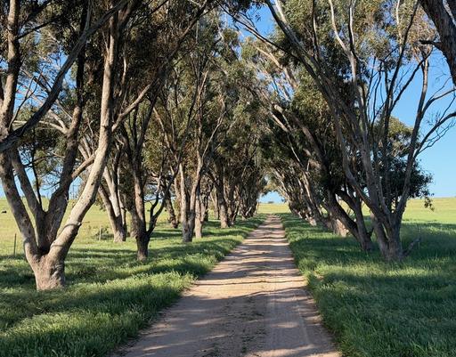 339 Butcher Road, Bookara WA 6525