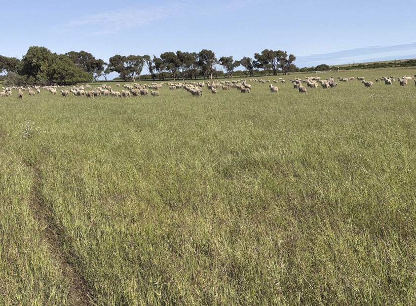 339 Butcher Road, Bookara For Sale by Farmbuy.com - image 2