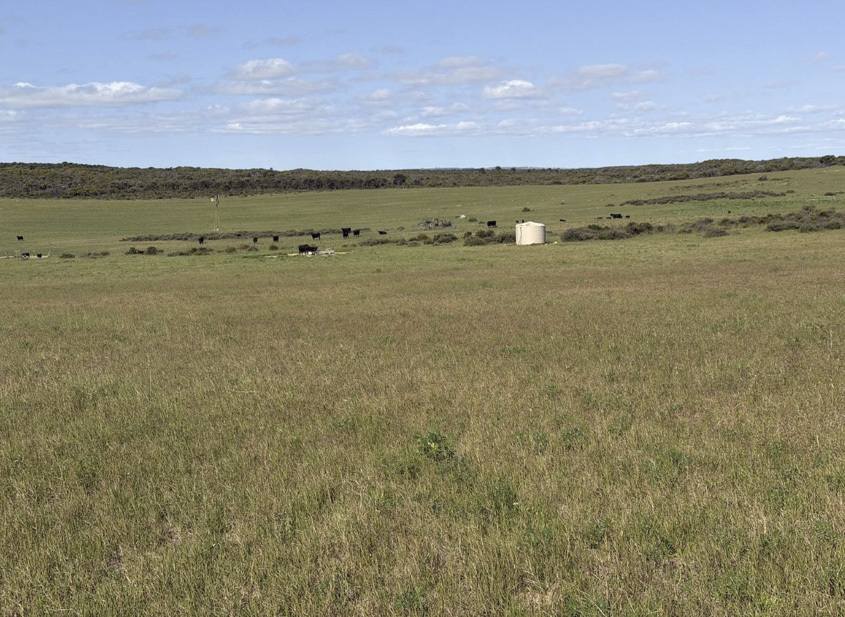 339 Butcher Road, Bookara For Sale by Farmbuy.com - image 22