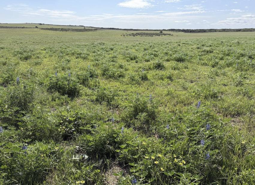 339 Butcher Road, Bookara For Sale by Farmbuy.com - image 20