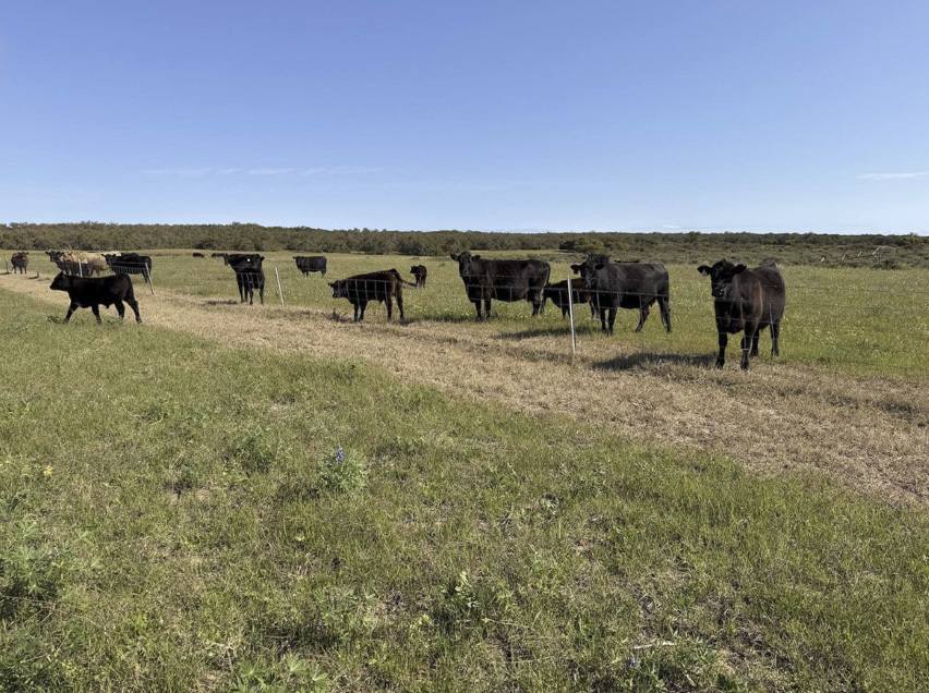 339 Butcher Road, Bookara For Sale by Farmbuy.com - image 17