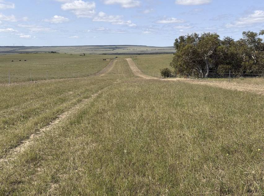 339 Butcher Road, Bookara For Sale by Farmbuy.com - image 4