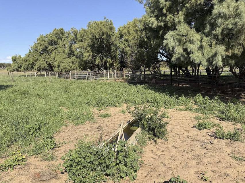 339 Butcher Road, Bookara For Sale by Farmbuy.com - image 16