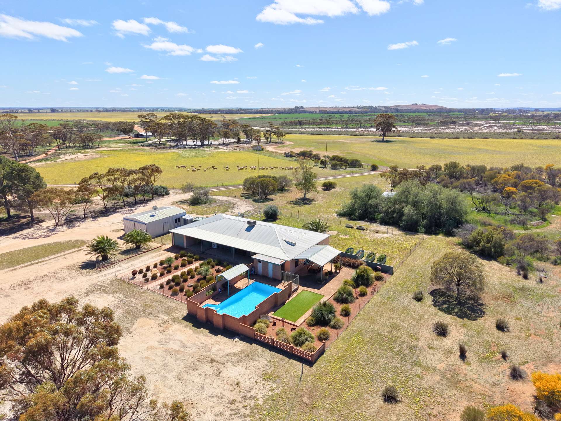 3422 Mount Walker Road, Mount Walker Auction by Farmbuy.com - image 2