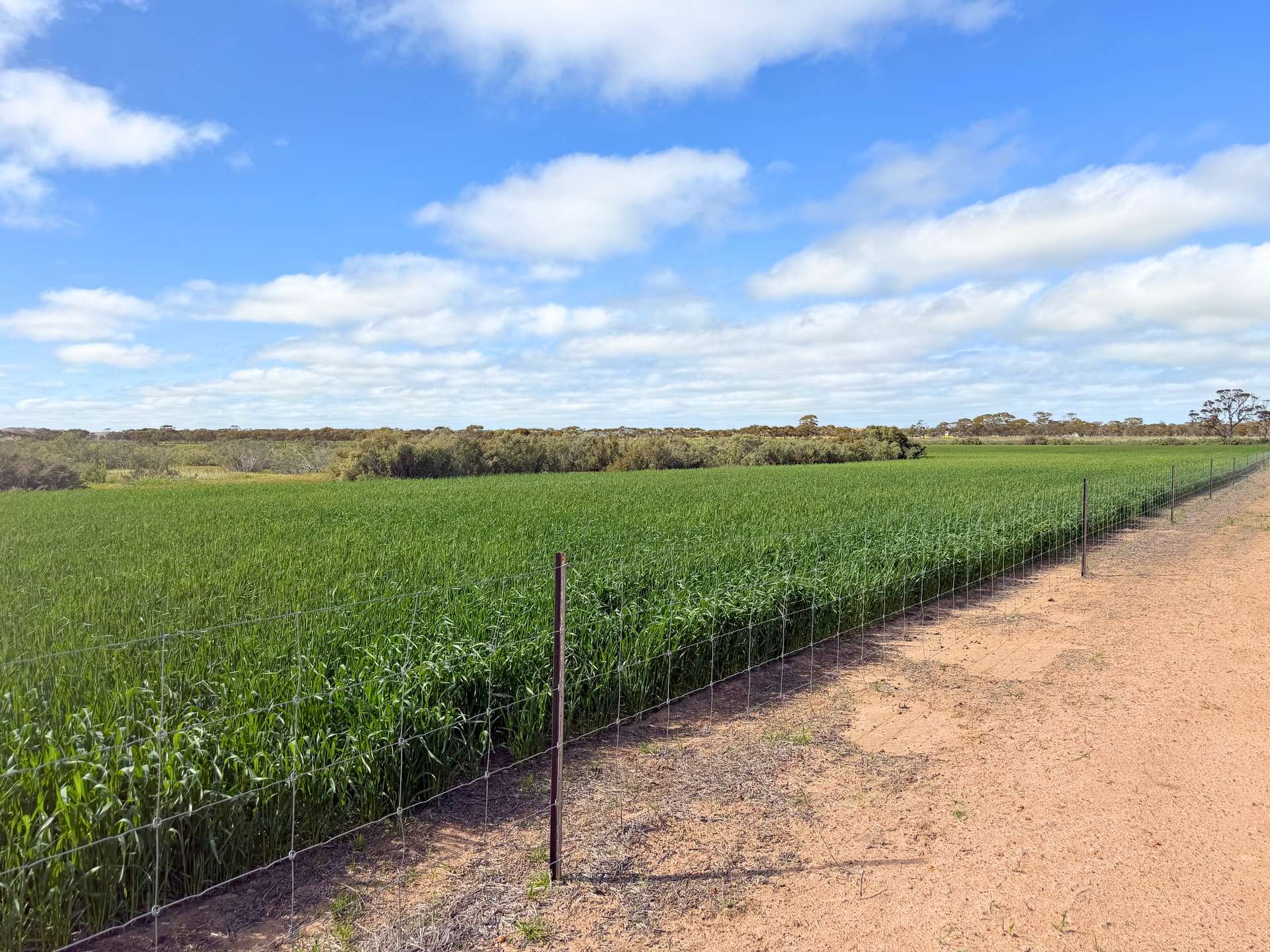 3422 Mount Walker Road, Mount Walker Auction by Farmbuy.com - image 17