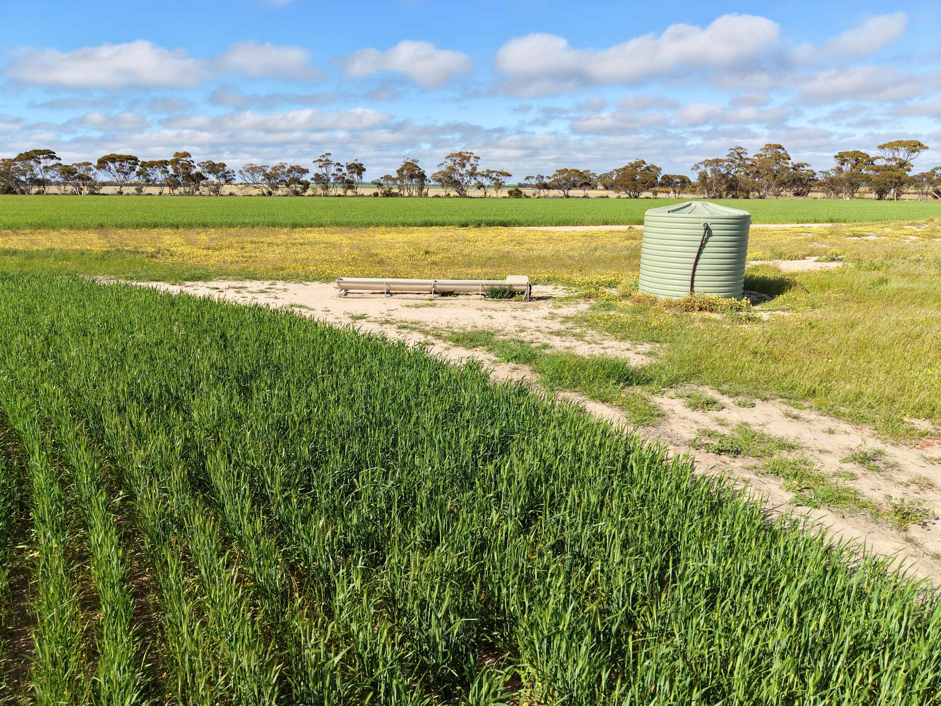 3422 Mount Walker Road, Mount Walker Auction by Farmbuy.com - image 11