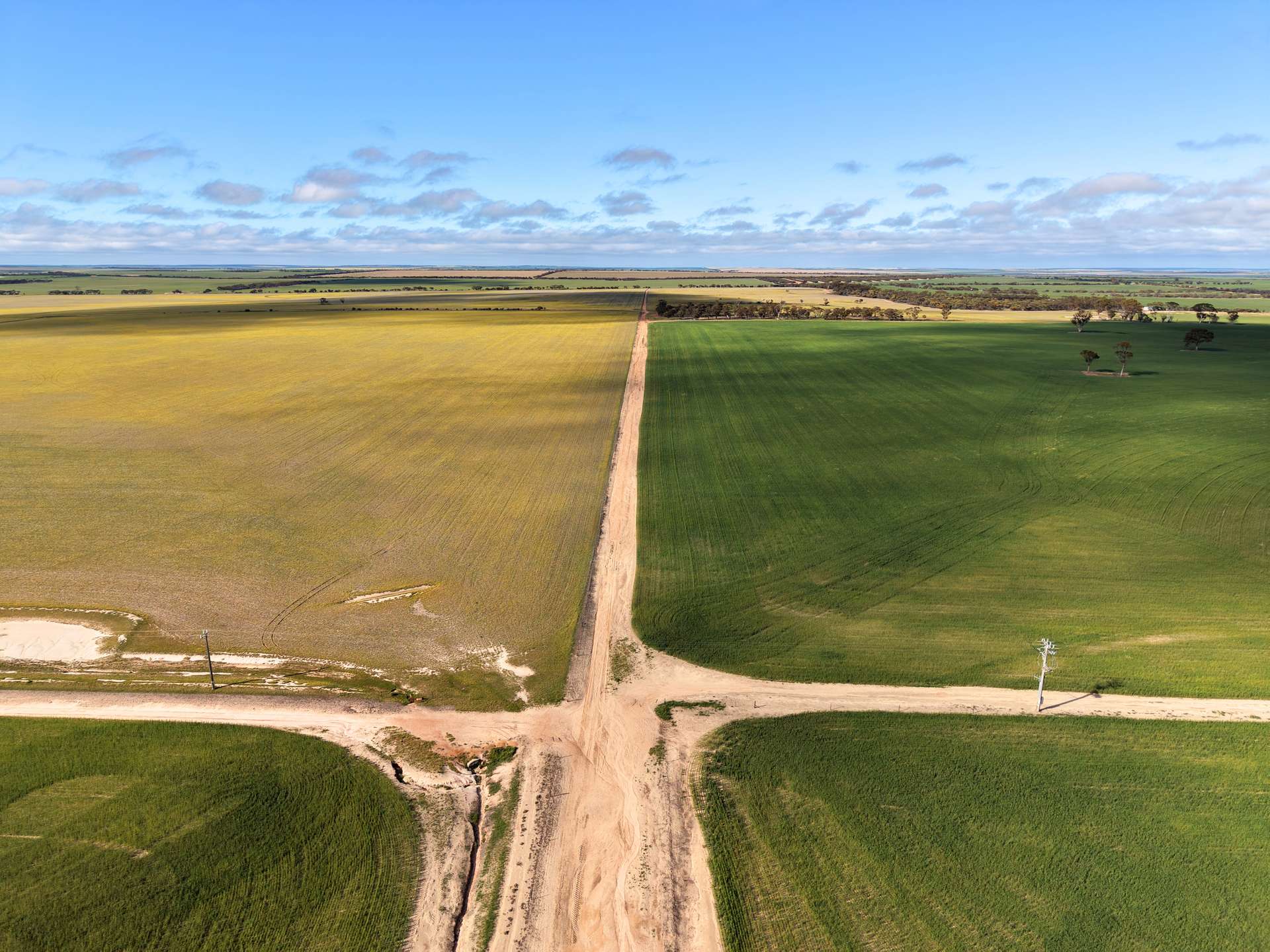 3422 Mount Walker Road, Mount Walker Auction by Farmbuy.com - image 7