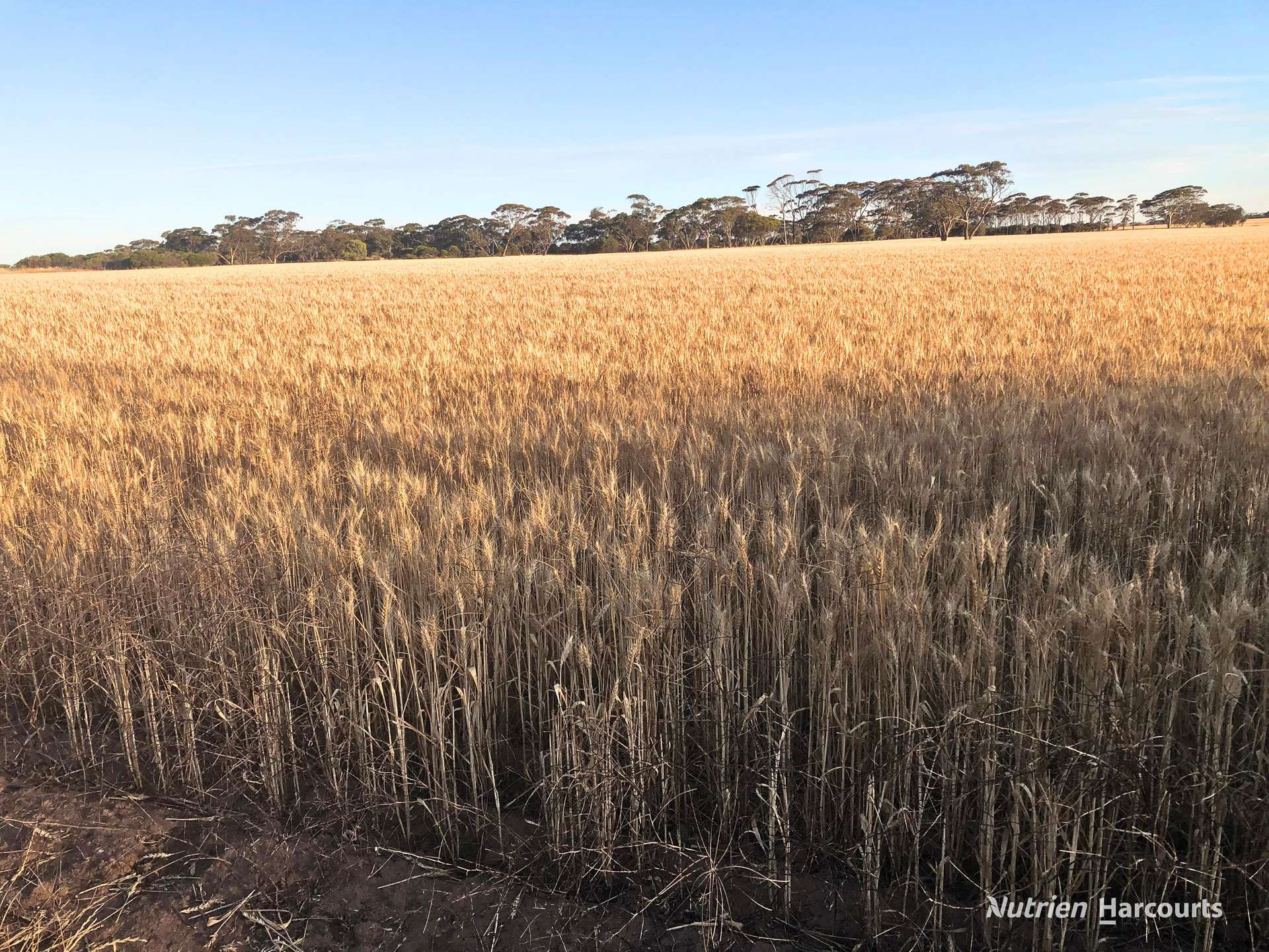 3422 Mount Walker Road, Mount Walker Auction by Farmbuy.com - image 23