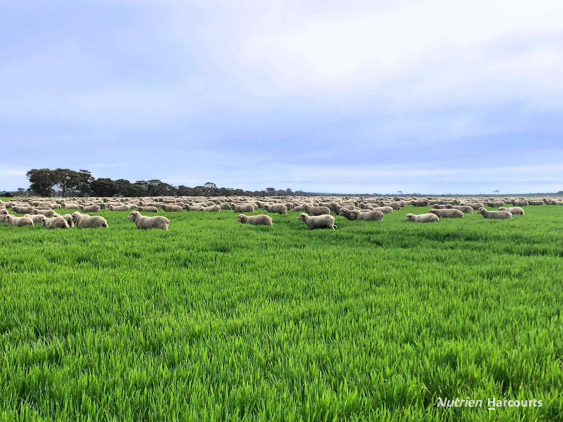 3422 Mount Walker Road, Mount Walker Auction by Farmbuy.com - image 30