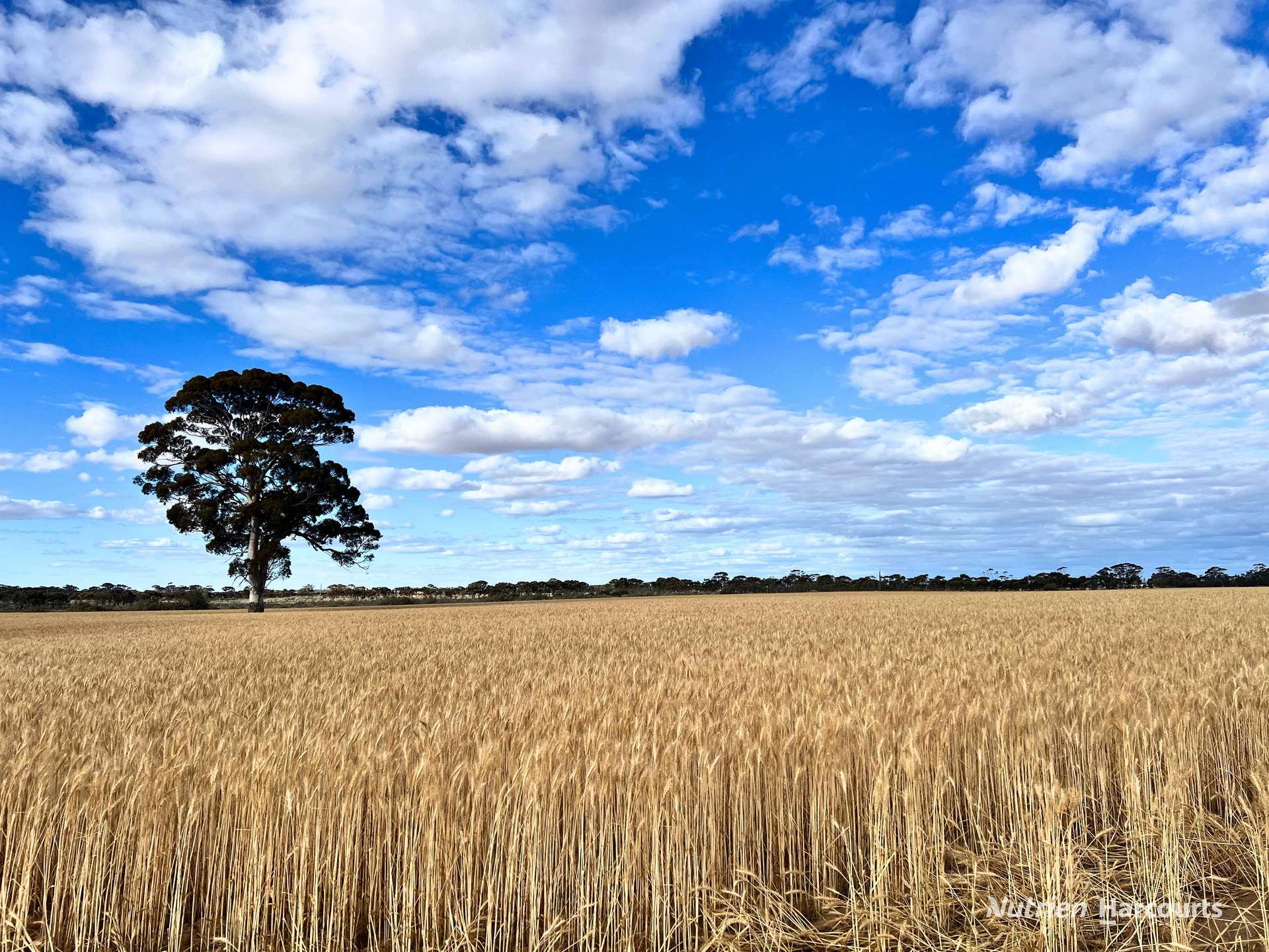 3422 Mount Walker Road, Mount Walker Auction by Farmbuy.com - image 13