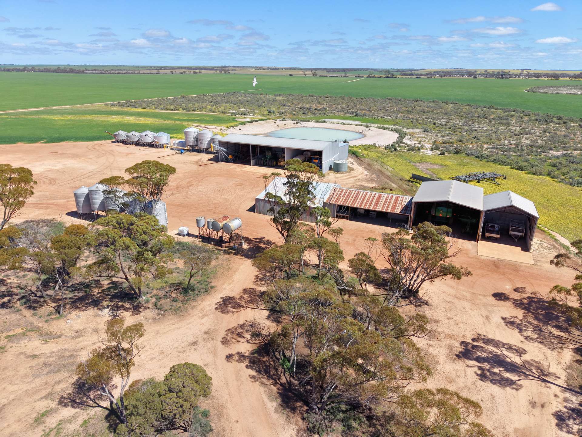 3422 Mount Walker Road, Mount Walker Auction by Farmbuy.com - image 18