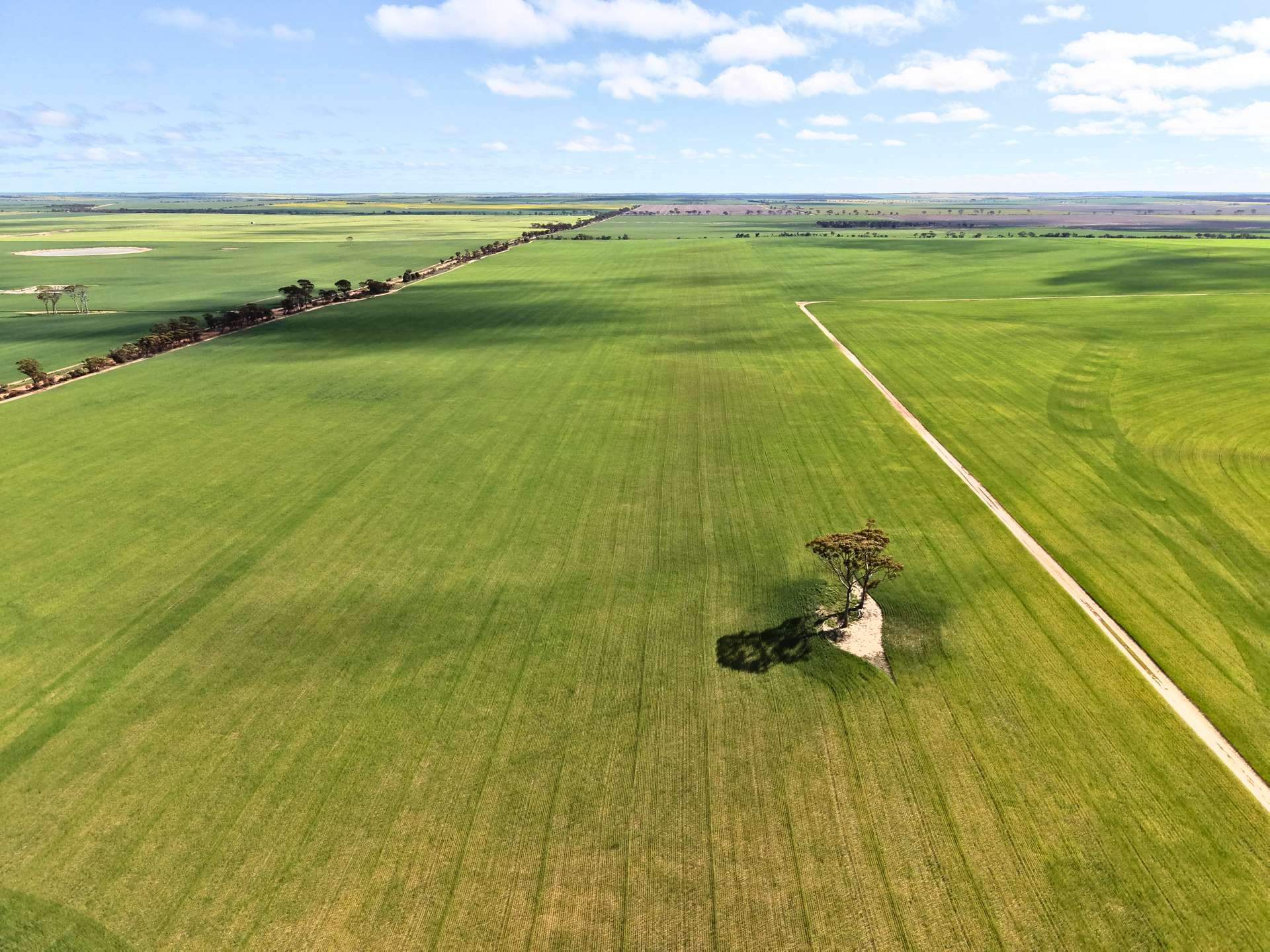 3422 Mount Walker Road, Mount Walker Auction by Farmbuy.com - image 10
