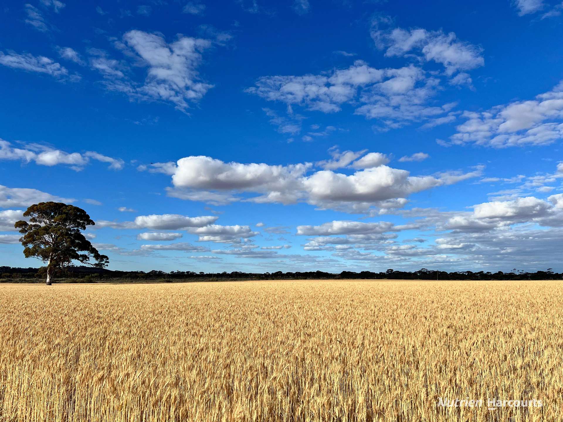 3422 Mount Walker Road, Mount Walker Auction by Farmbuy.com - image 29