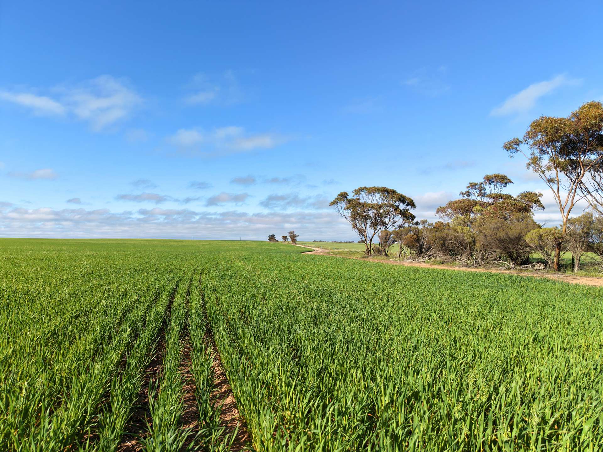 3422 Mount Walker Road, Mount Walker Auction by Farmbuy.com - image 5