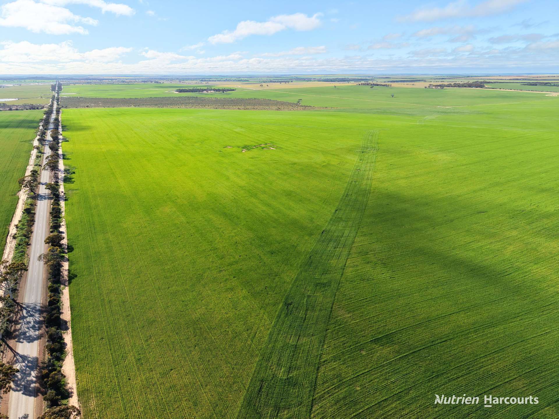 3422 Mount Walker Road, Mount Walker Auction by Farmbuy.com - image 4