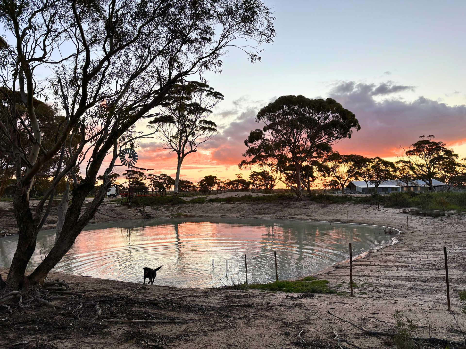 3422 Mount Walker Road, Mount Walker Auction by Farmbuy.com - image 26