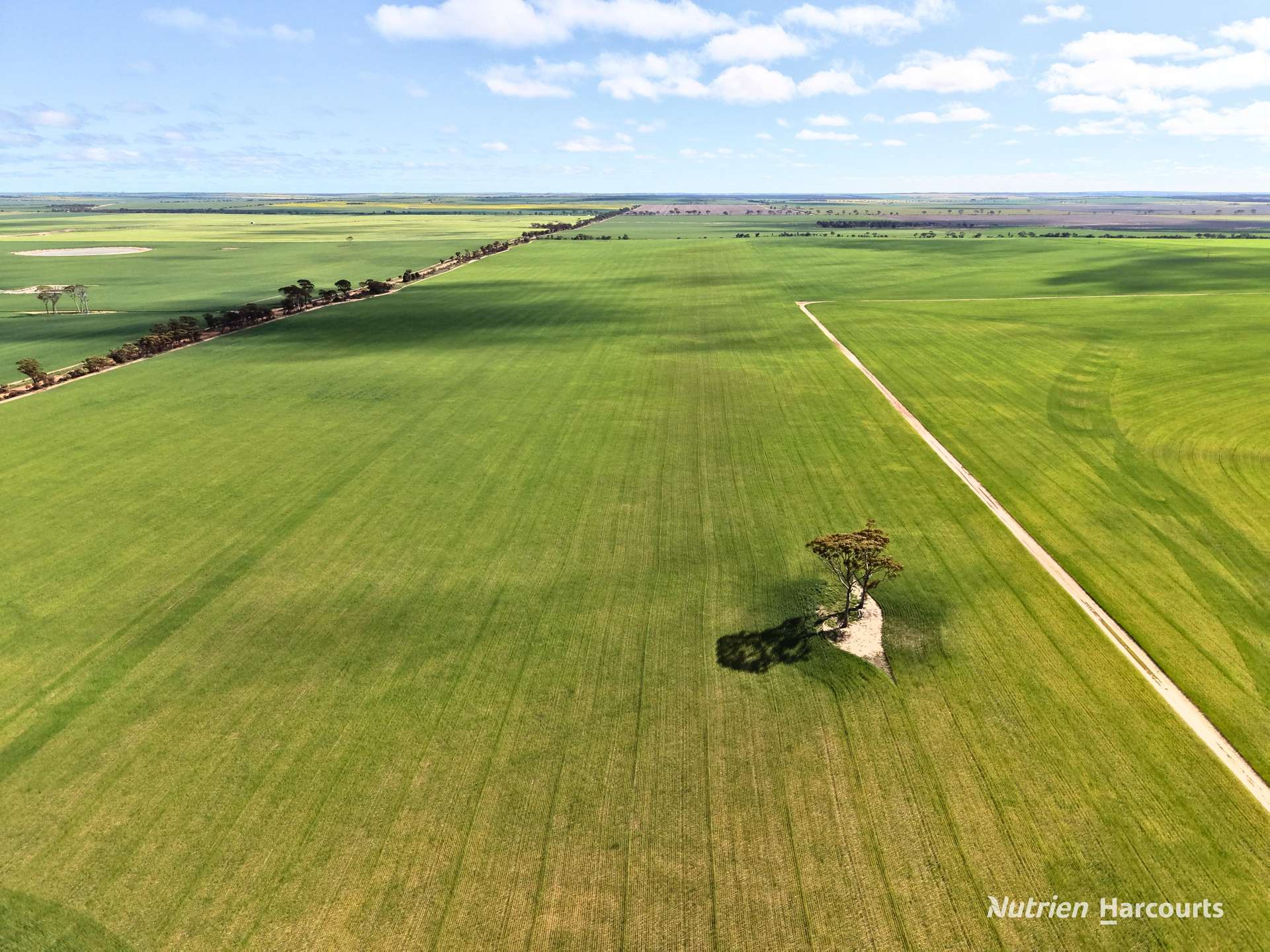 3422 Mount Walker Road, Mount Walker Auction by Farmbuy.com - image 10