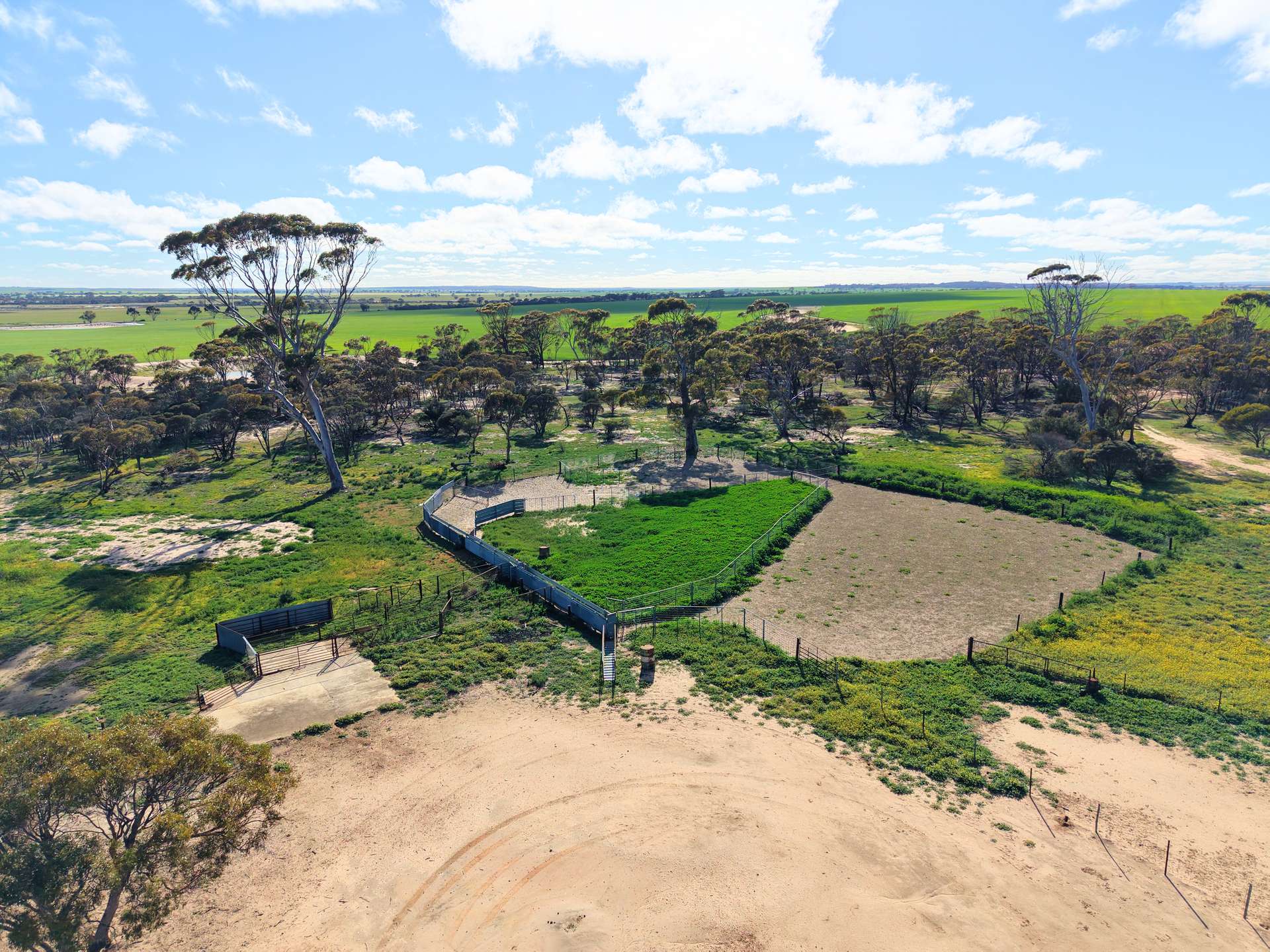 3422 Mount Walker Road, Mount Walker Auction by Farmbuy.com - image 6