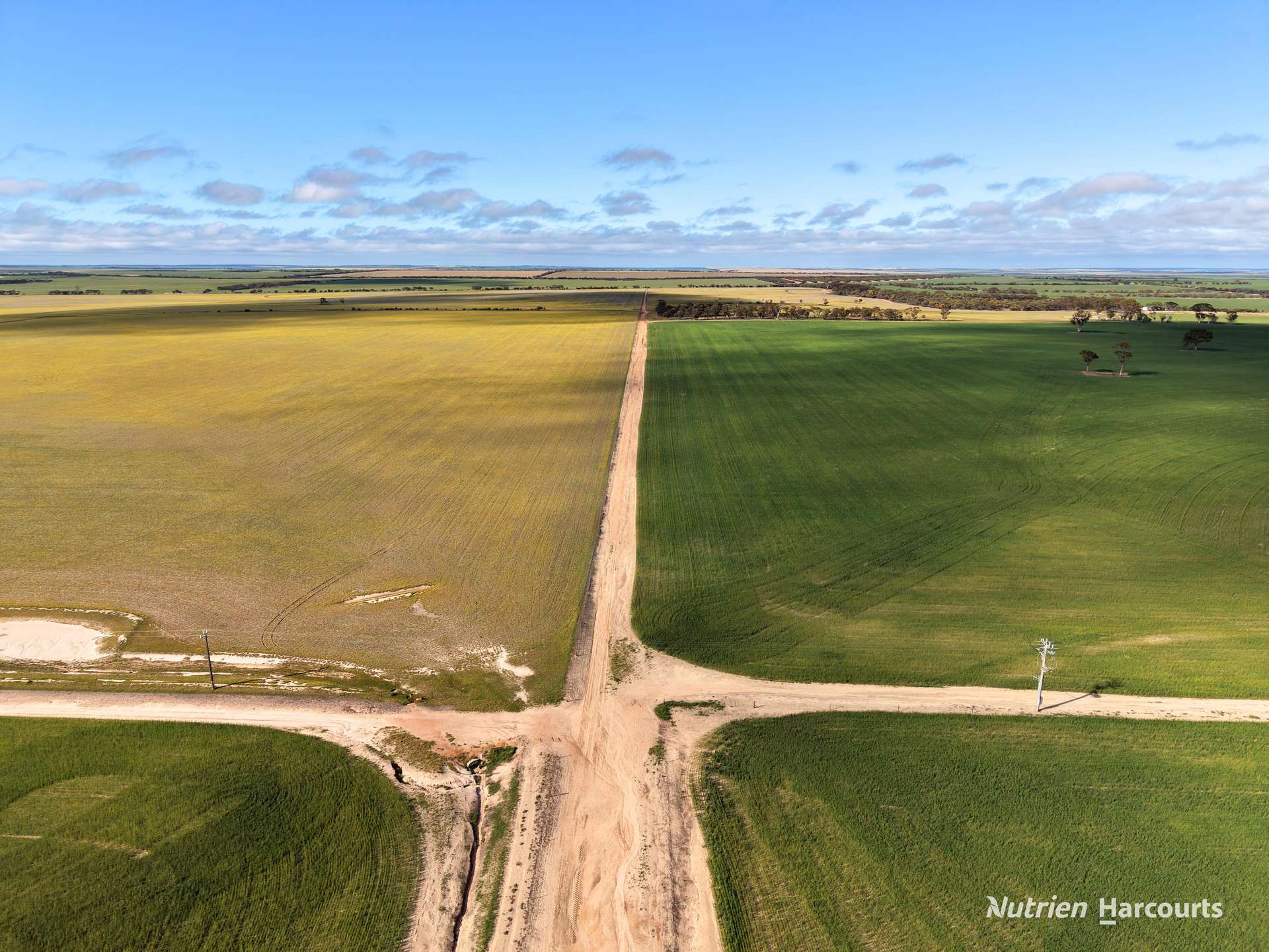 3422 Mount Walker Road, Mount Walker Auction by Farmbuy.com - image 7