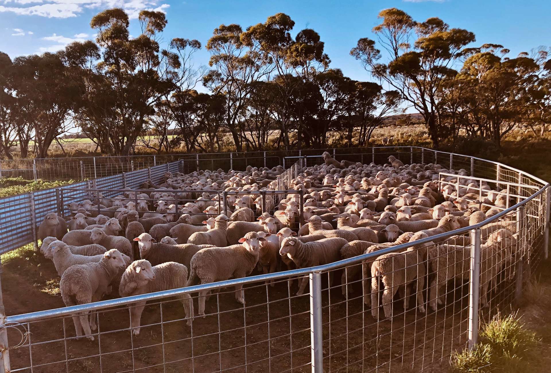 3422 Mount Walker Road, Mount Walker Auction by Farmbuy.com - image 22