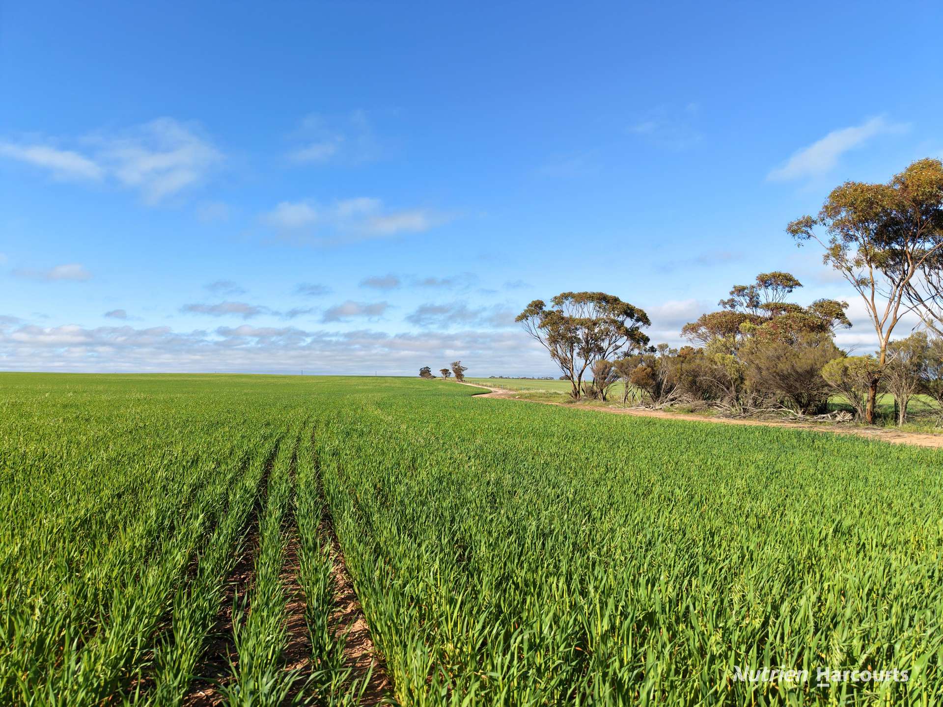 3422 Mount Walker Road, Mount Walker Auction by Farmbuy.com - image 5