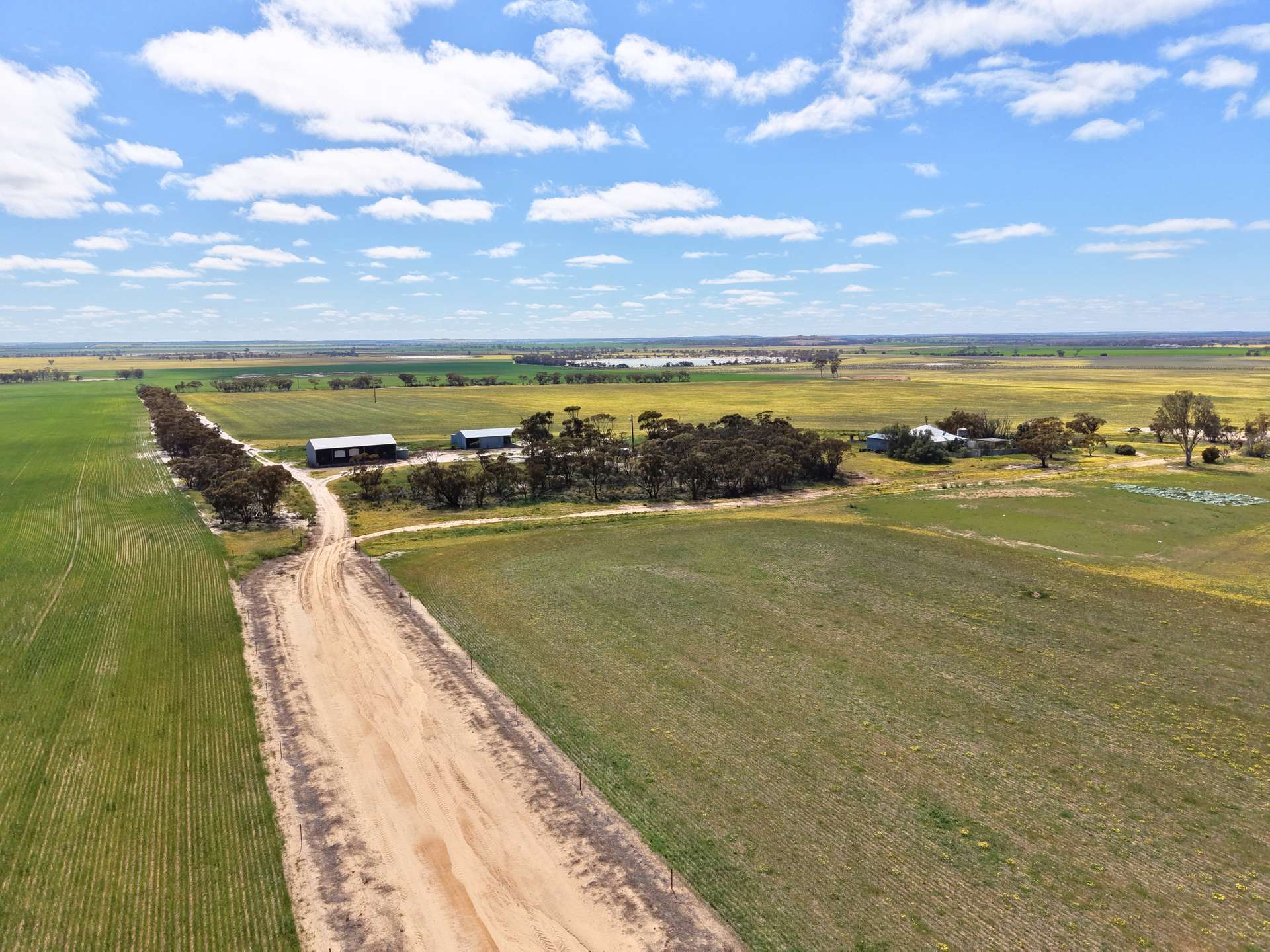 3422 Mount Walker Road, Mount Walker Auction by Farmbuy.com - image 28