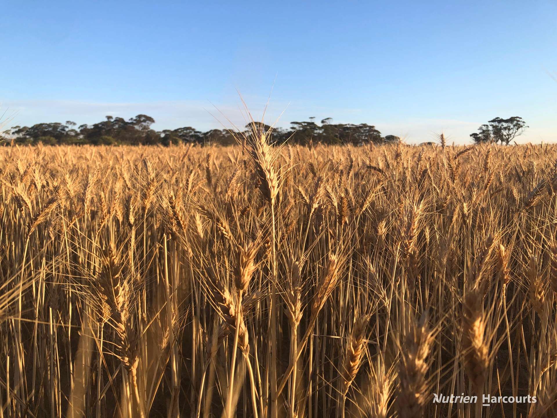 3422 Mount Walker Road, Mount Walker Auction by Farmbuy.com - image 24