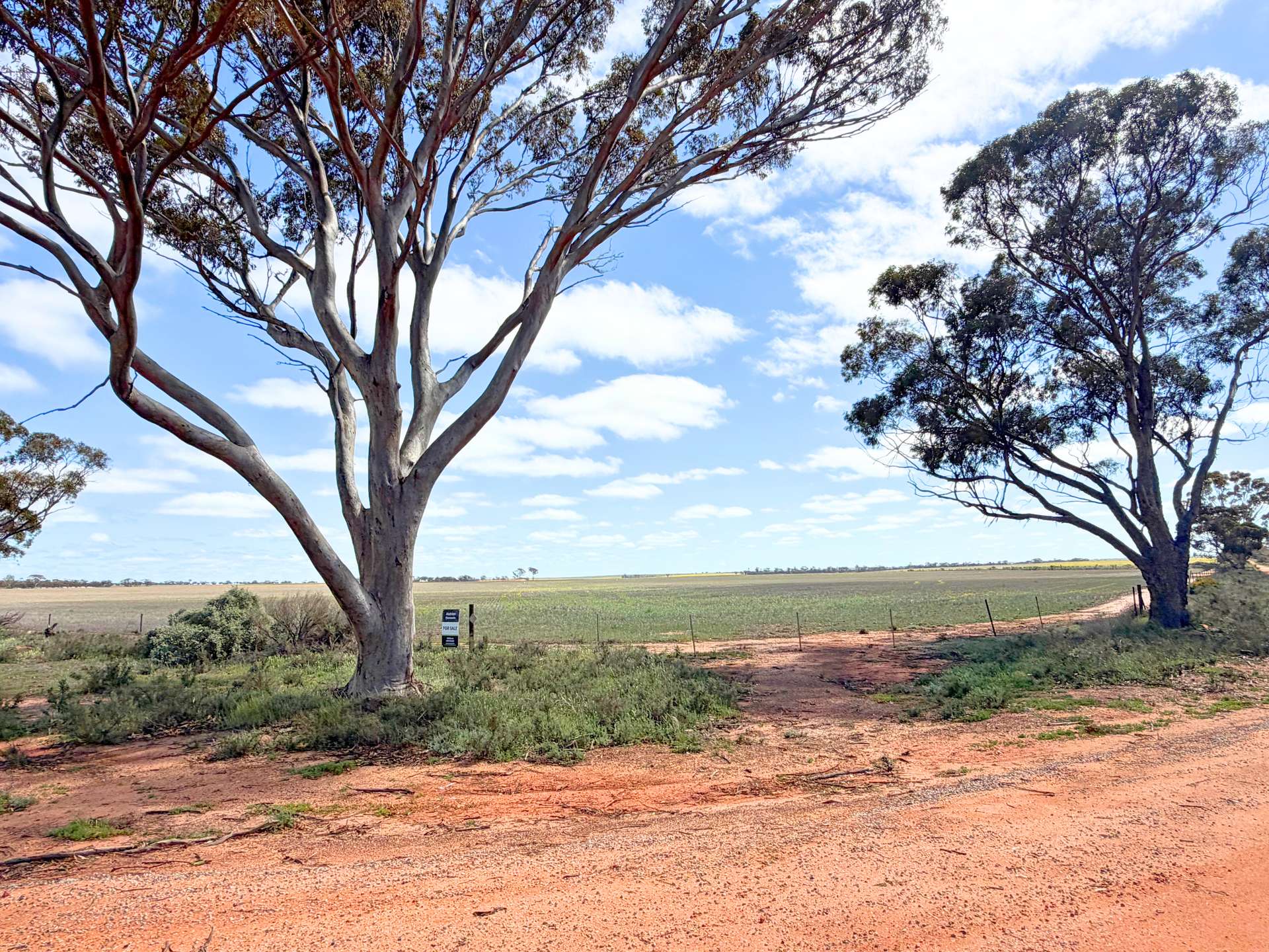 3422 Mount Walker Road, Mount Walker Auction by Farmbuy.com - image 20