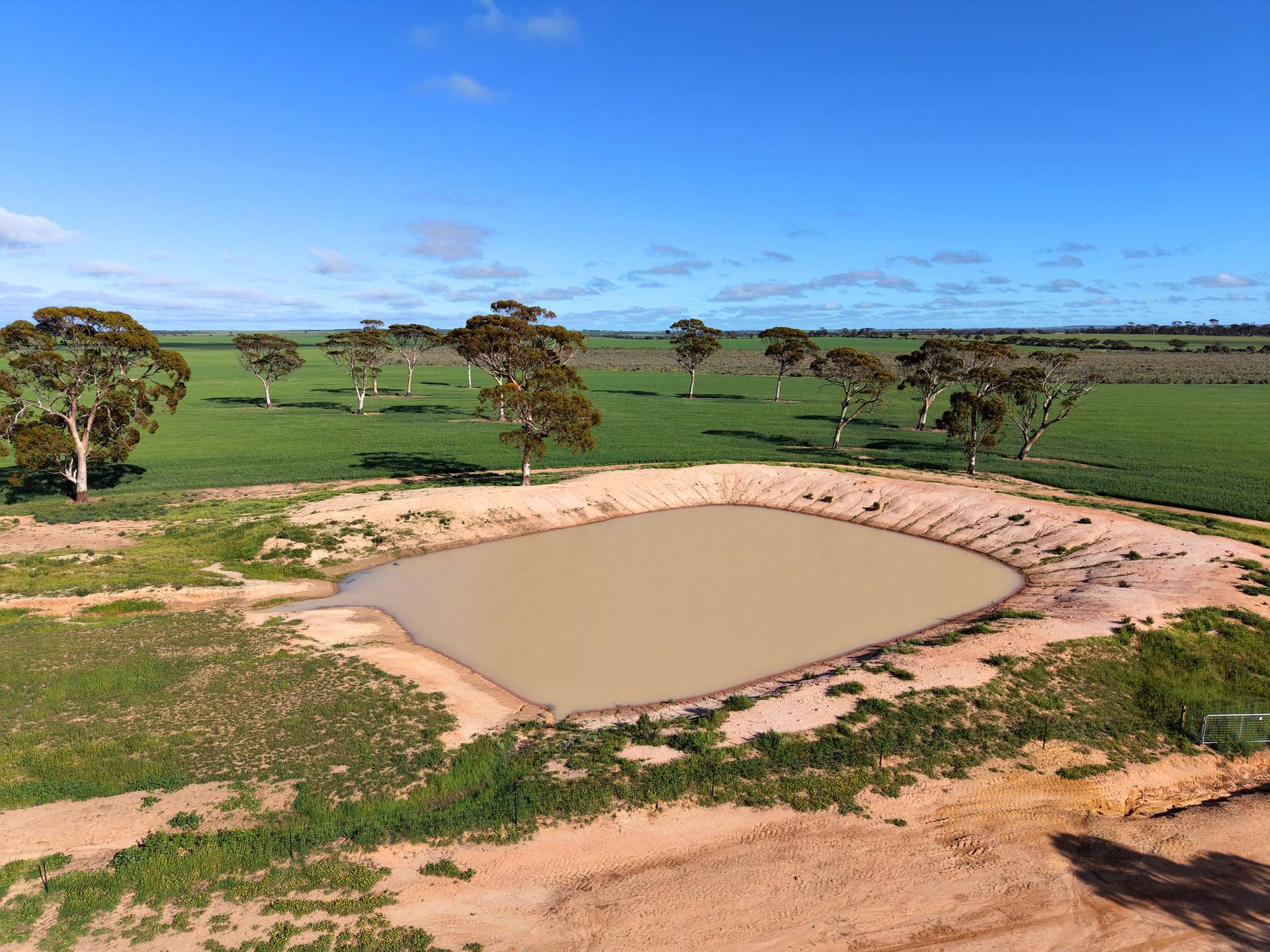 3422 Mount Walker Road, Mount Walker Auction by Farmbuy.com - image 8
