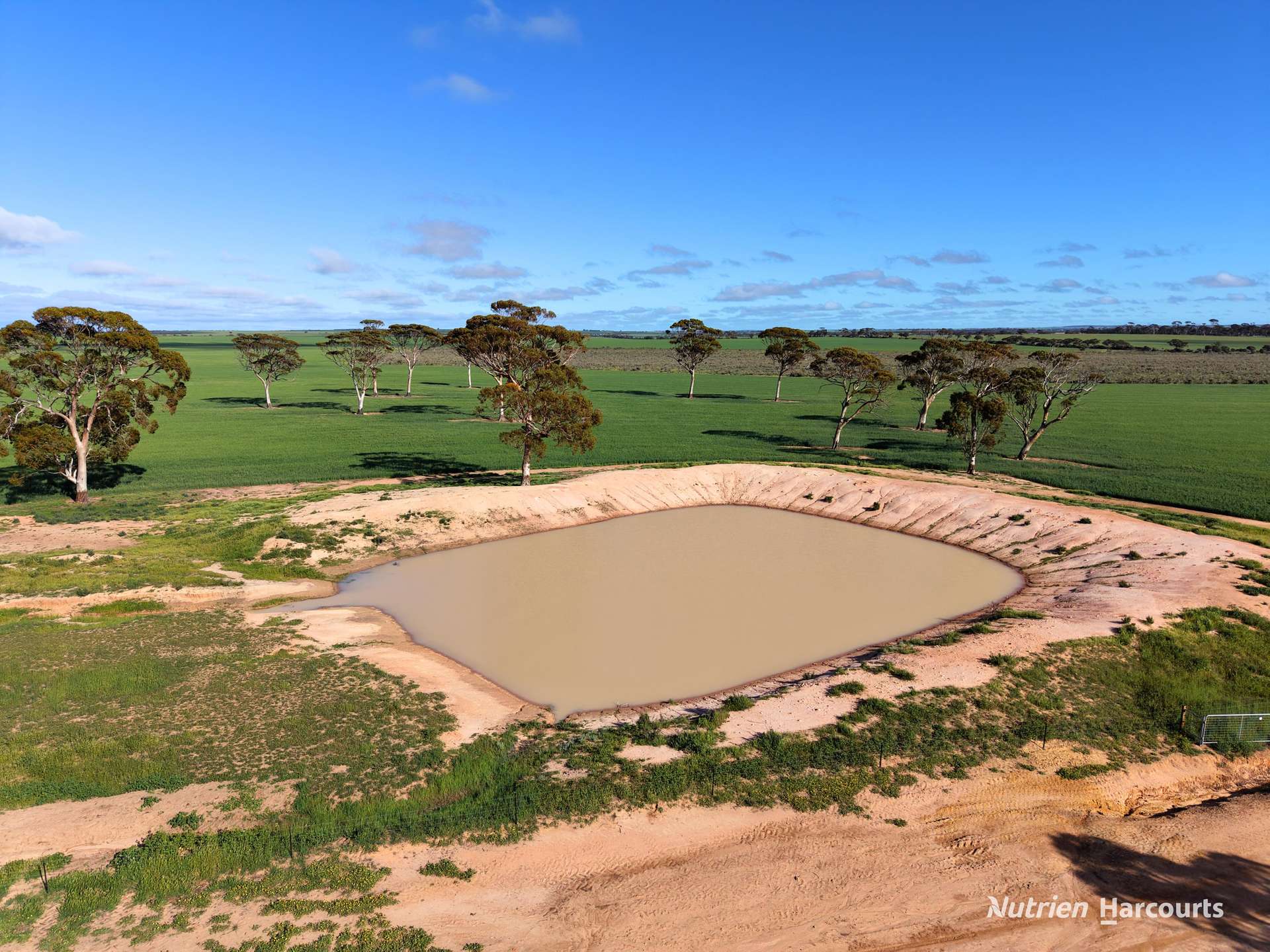 3422 Mount Walker Road, Mount Walker Auction by Farmbuy.com - image 8