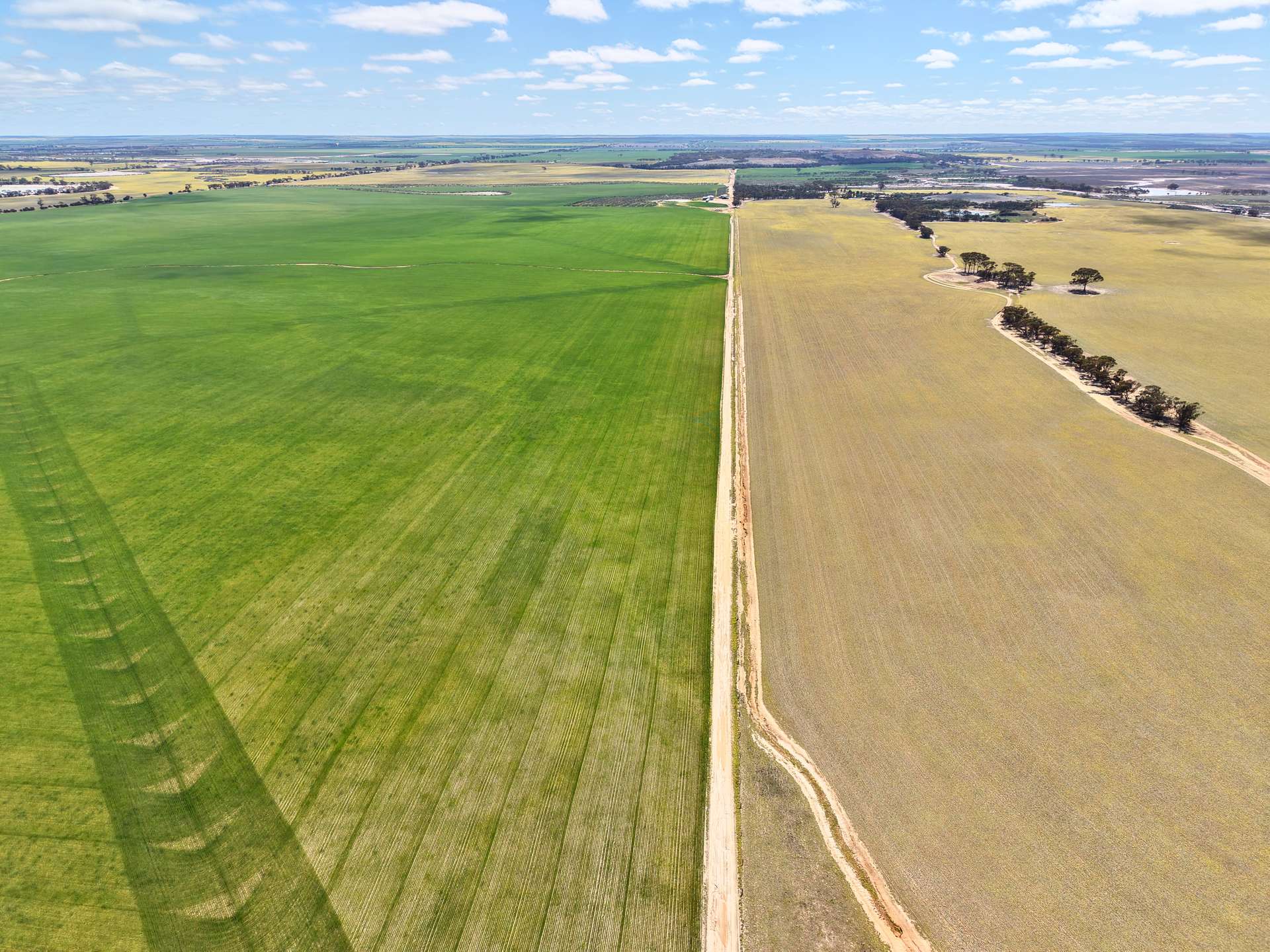 3422 Mount Walker Road, Mount Walker Auction by Farmbuy.com - image 12