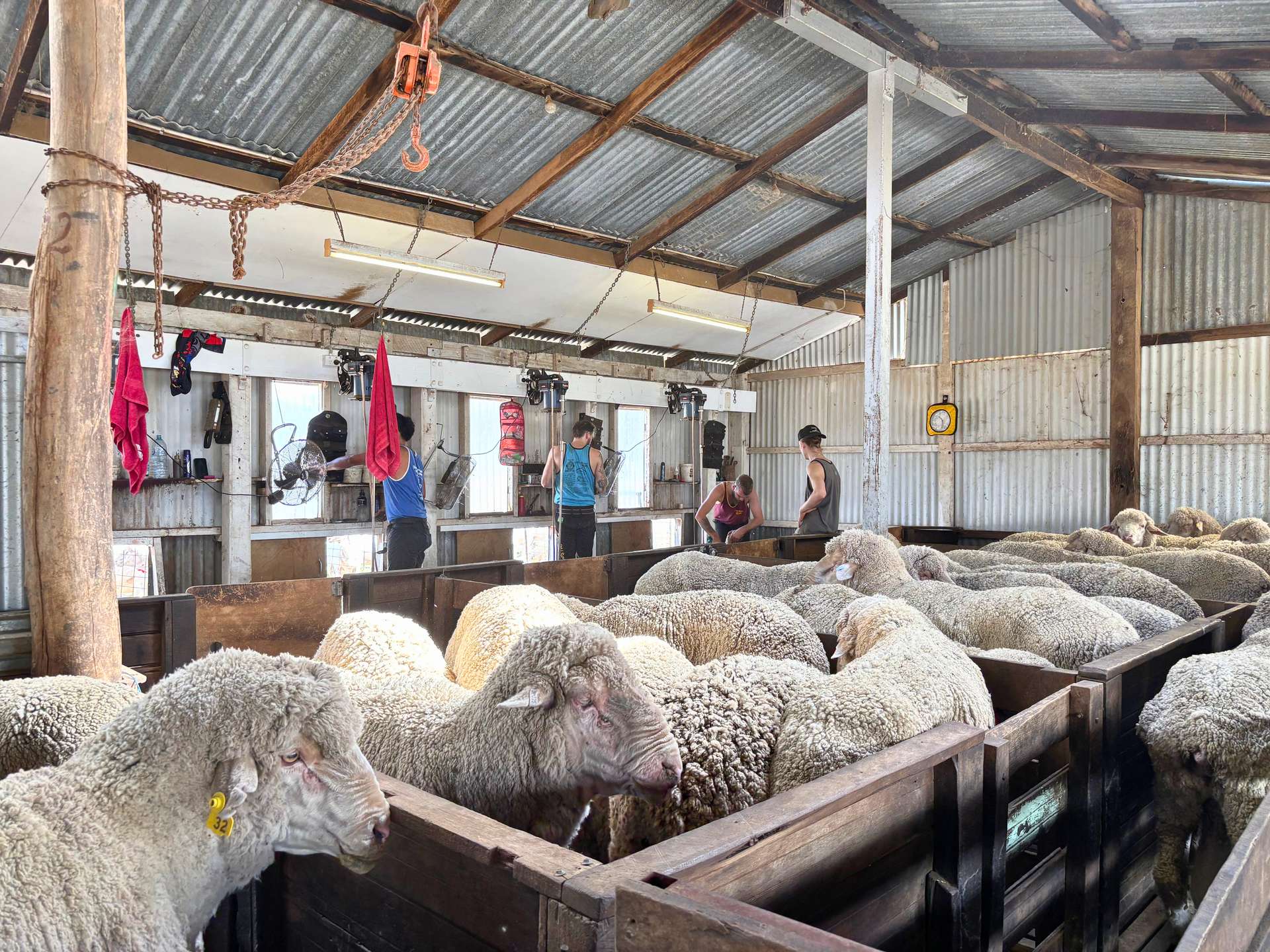 3422 Mount Walker Road, Mount Walker Auction by Farmbuy.com - image 21