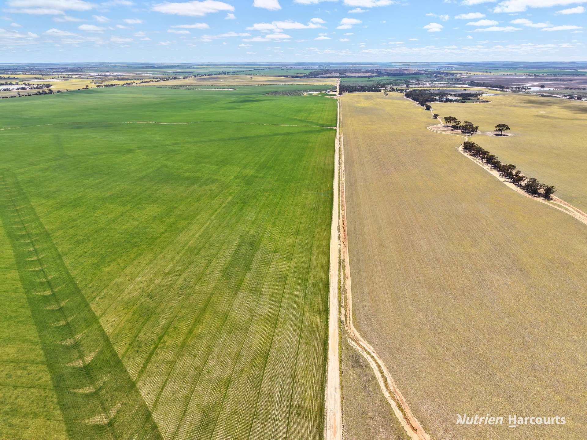 3422 Mount Walker Road, Mount Walker Auction by Farmbuy.com - image 12