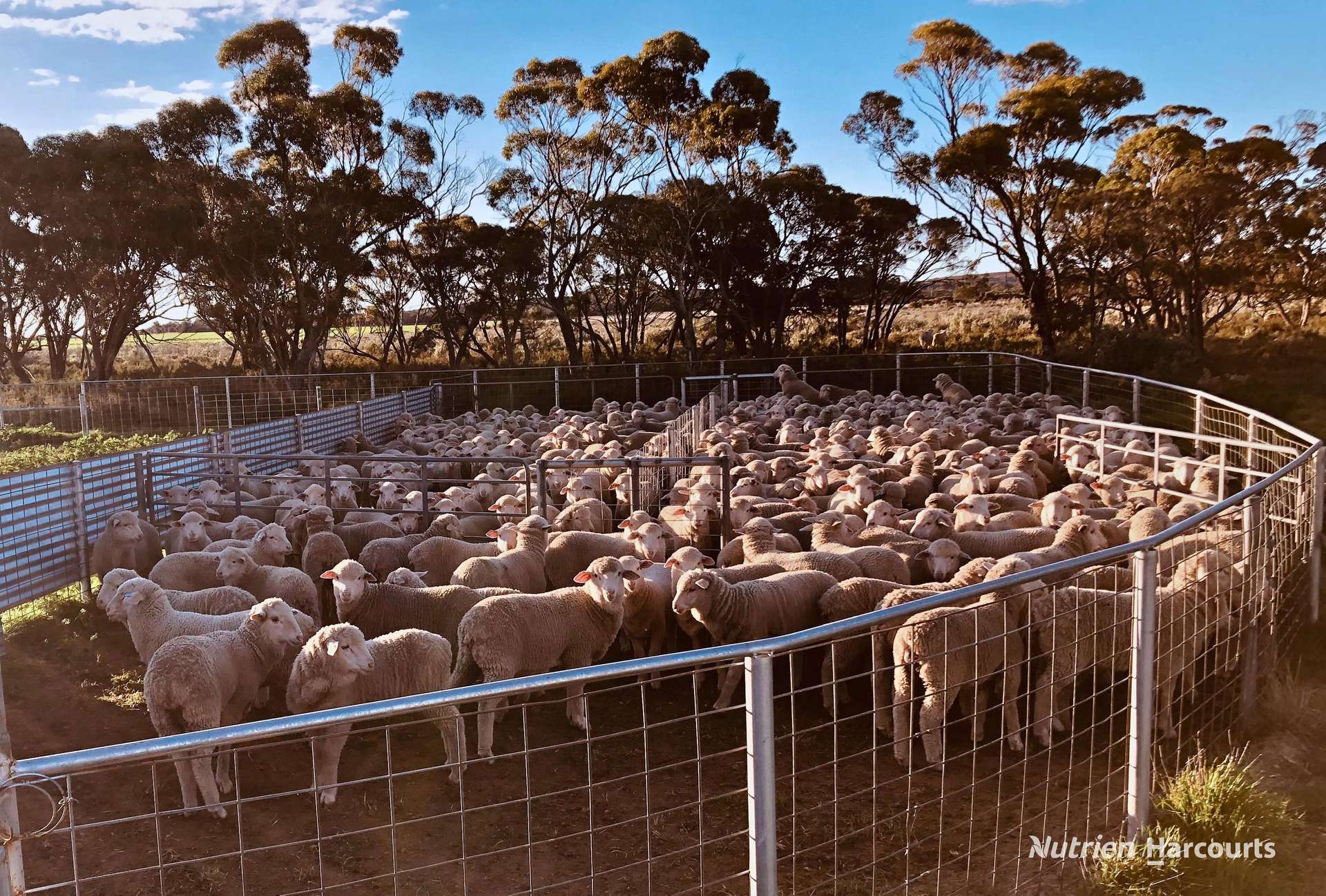 3422 Mount Walker Road, Mount Walker Auction by Farmbuy.com - image 22