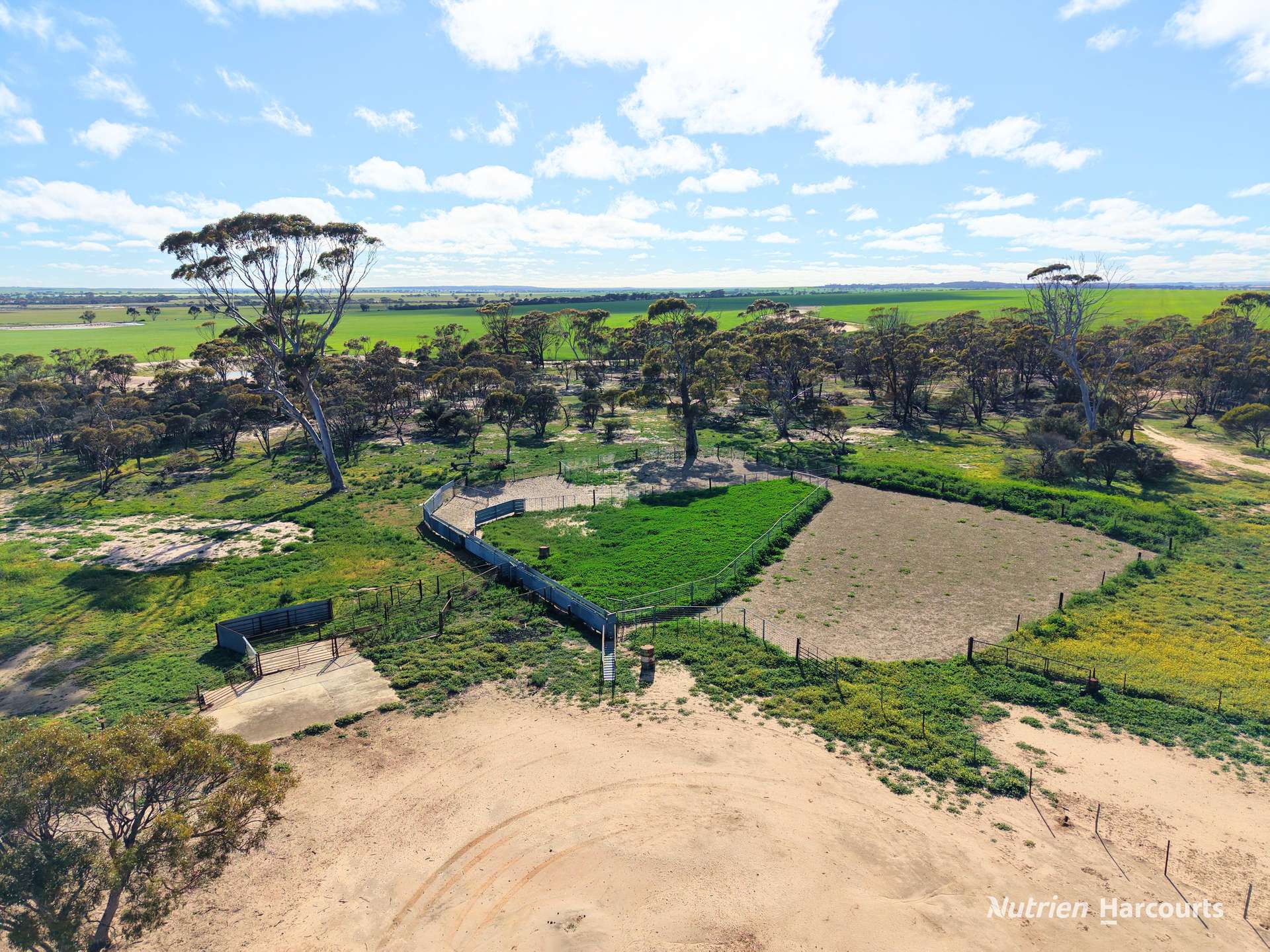 3422 Mount Walker Road, Mount Walker Auction by Farmbuy.com - image 6