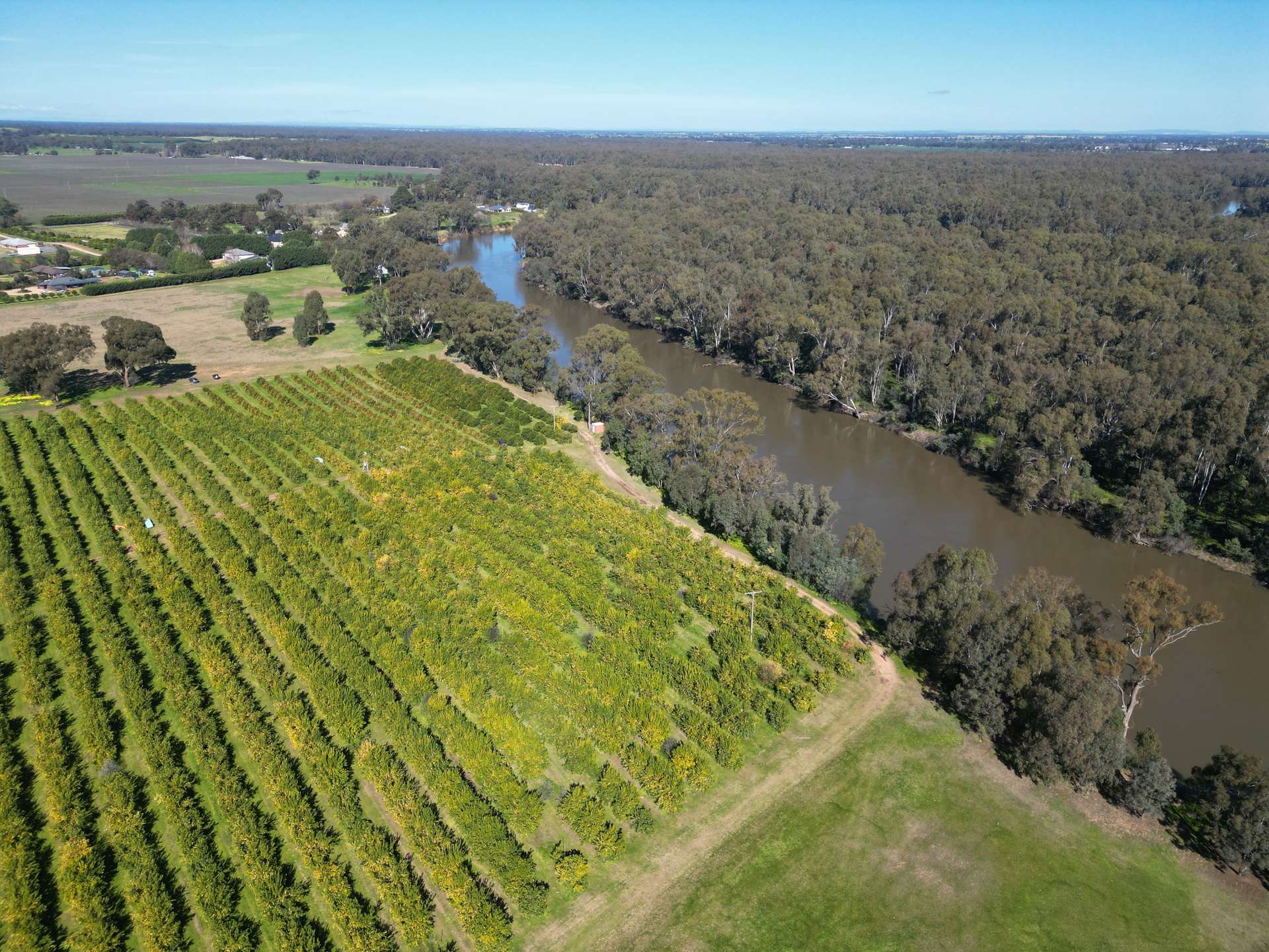 74 Quicks Road, Barooga For Sale by Farmbuy.com - image 8