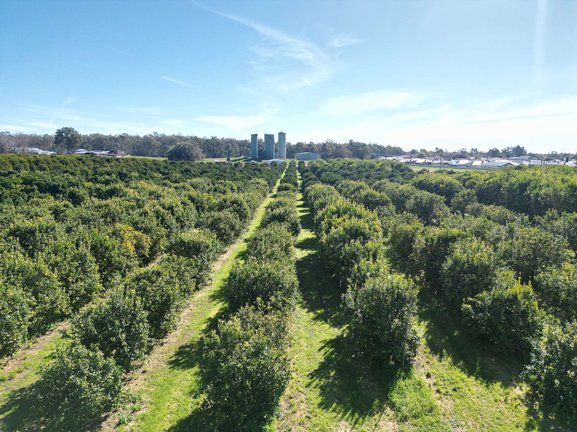 74 Quicks Road, Barooga For Sale by Farmbuy.com - image 9