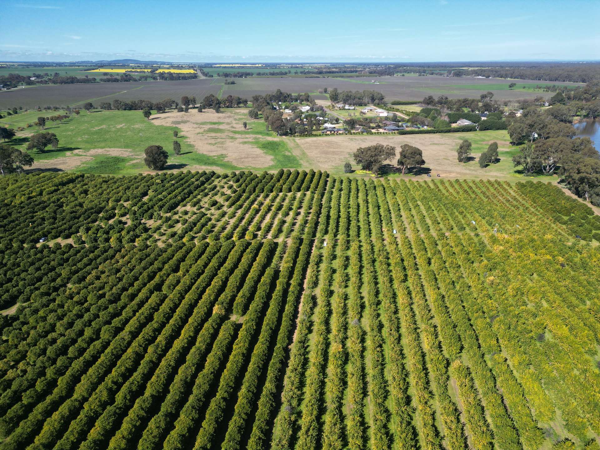 74 Quicks Road, Barooga For Sale by Farmbuy.com - image 16
