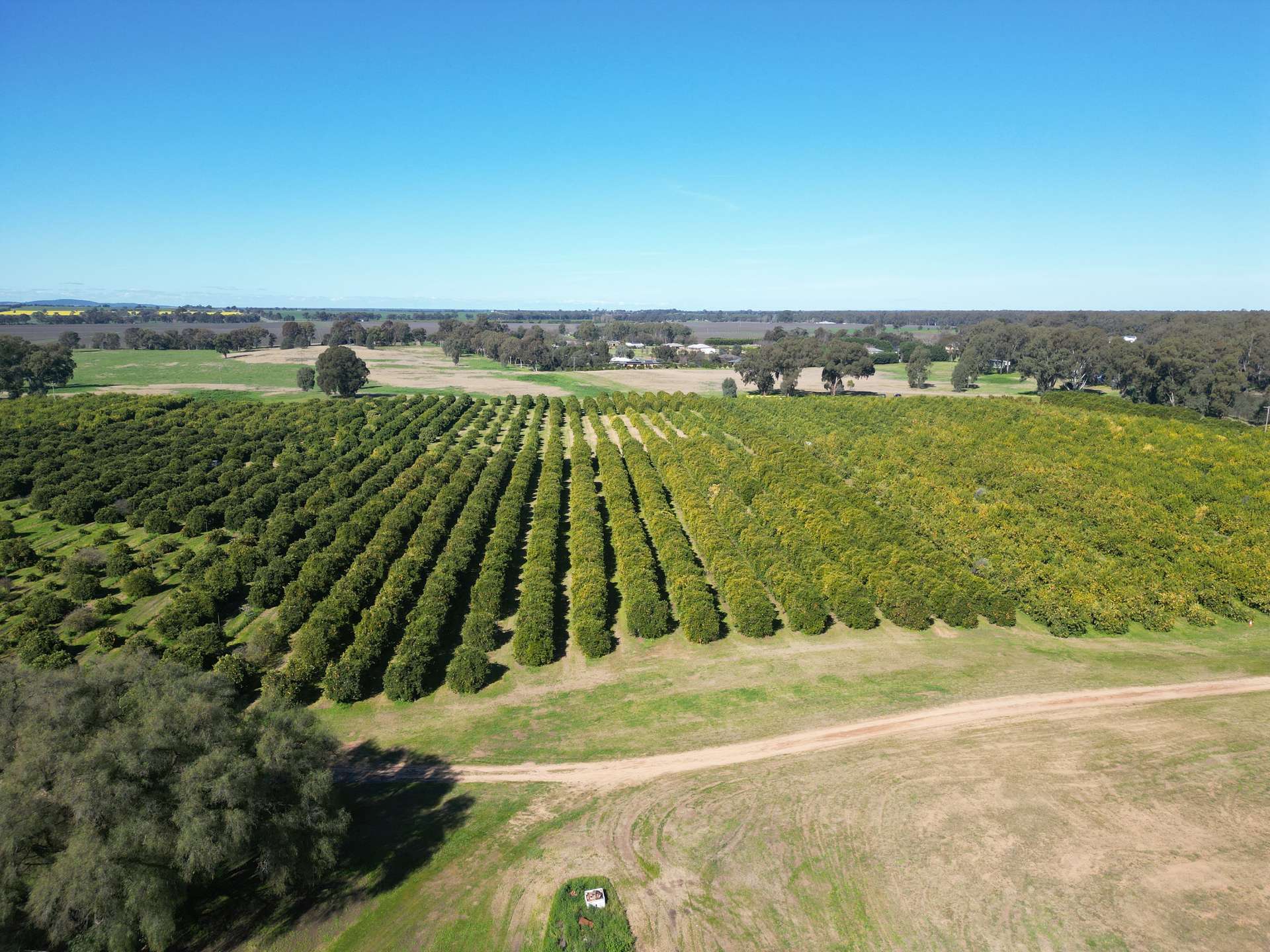 74 Quicks Road, Barooga For Sale by Farmbuy.com - image 14