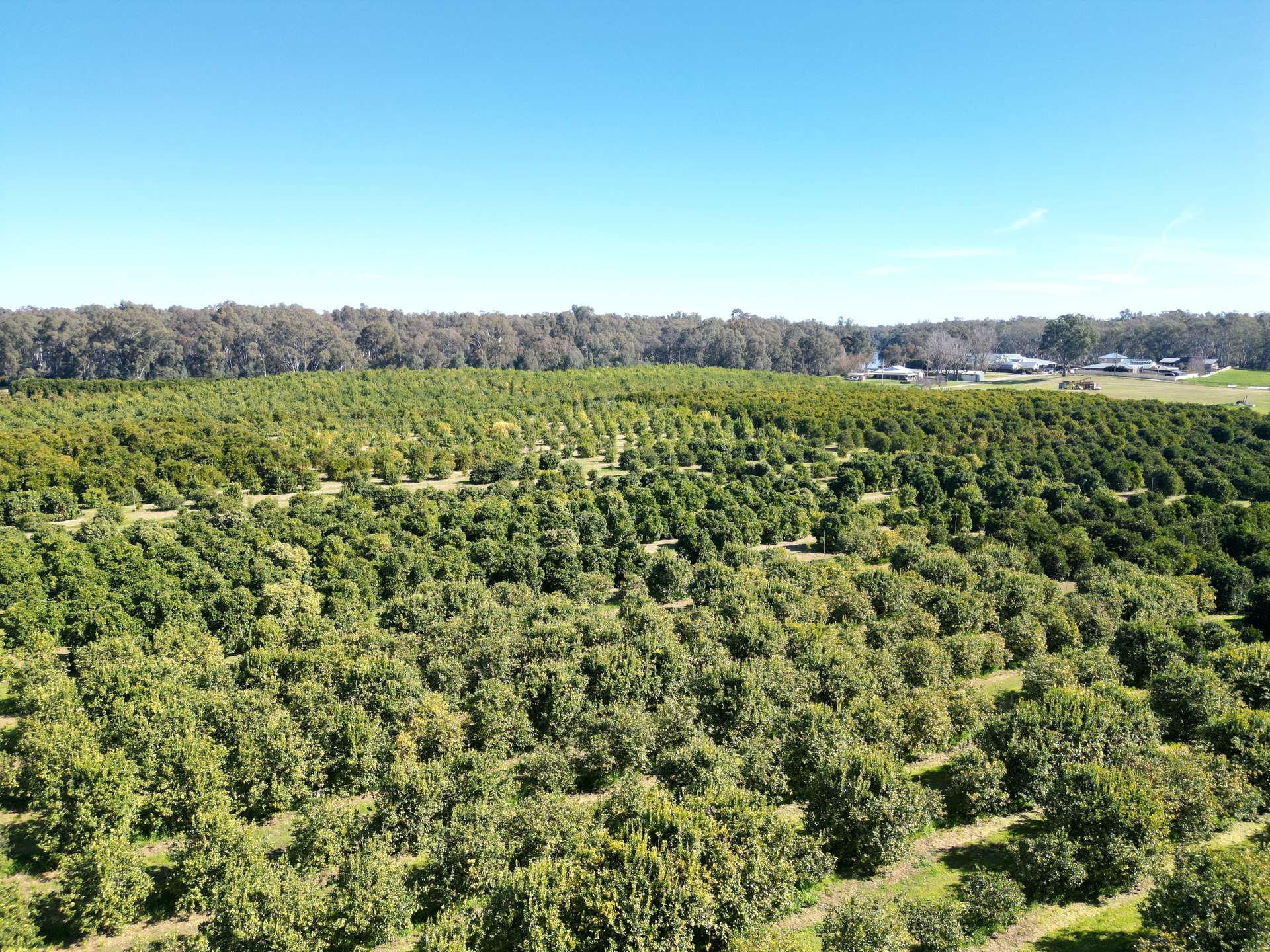 74 Quicks Road, Barooga For Sale by Farmbuy.com - image 12