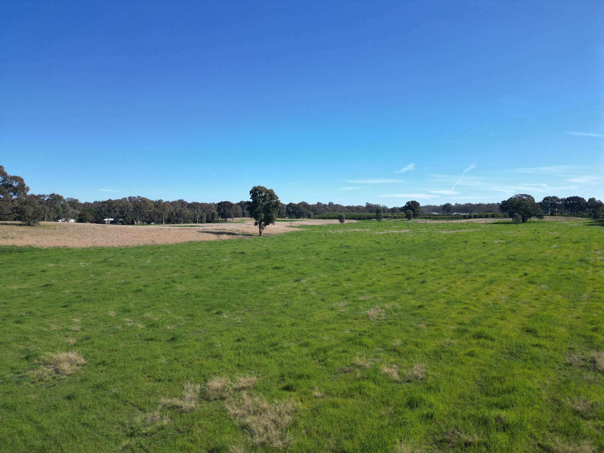 74 Quicks Road, Barooga For Sale by Farmbuy.com - image 10