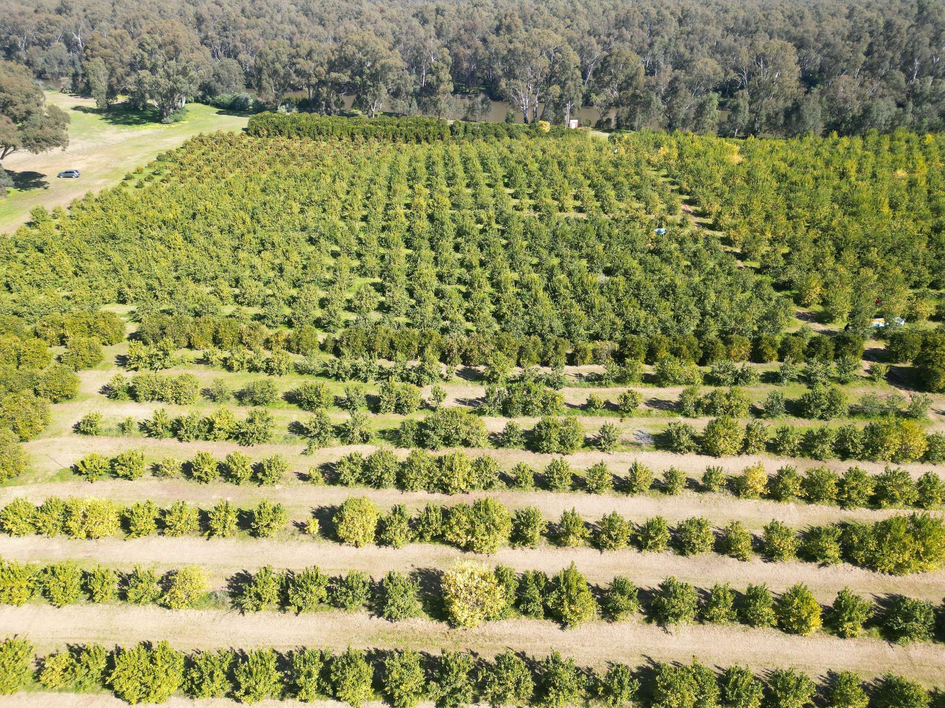 74 Quicks Road, Barooga For Sale by Farmbuy.com - image 13