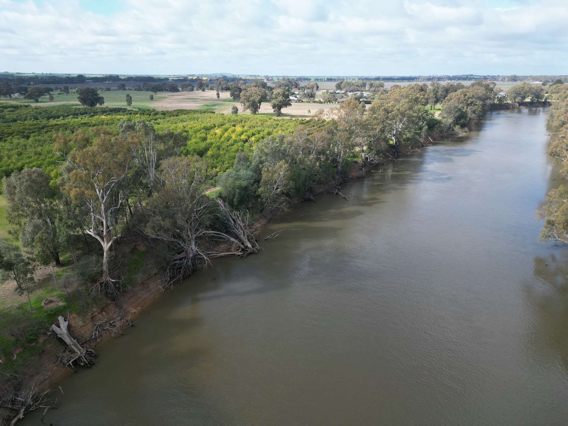 74 Quicks Road, Barooga For Sale by Farmbuy.com - image 7